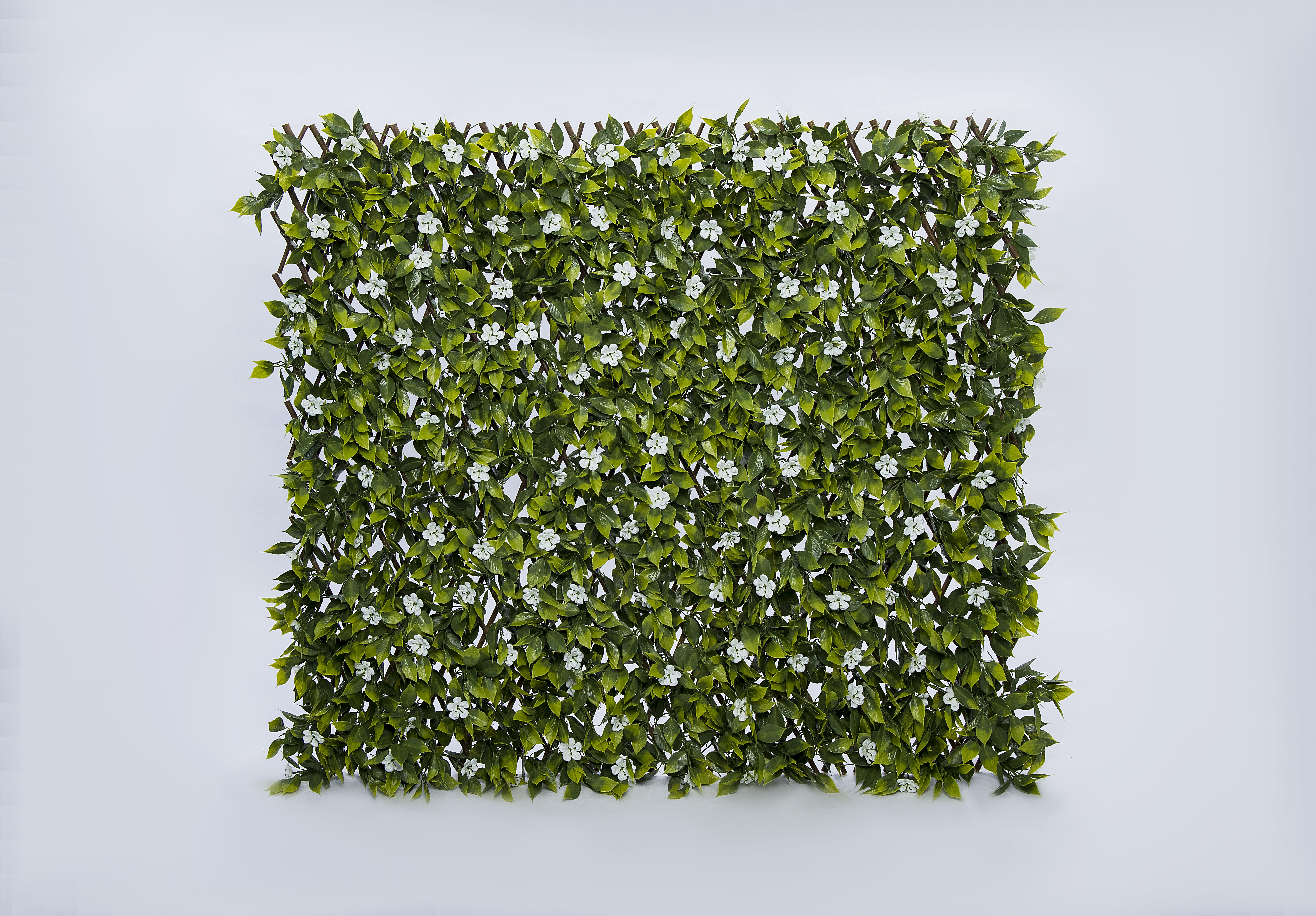 Treillis Saule Extensible Sakura