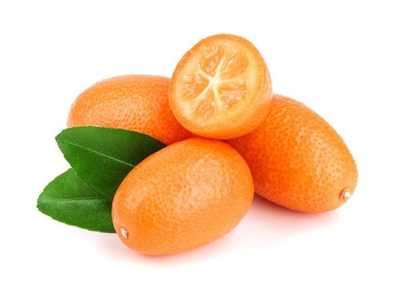 Citrus fortunella 'Margarita'