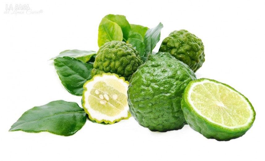 Citrus histrix