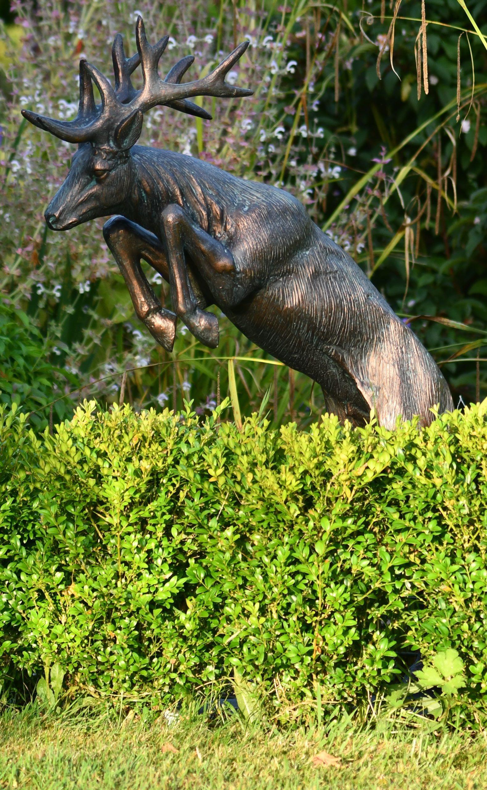 Grand Cerf Atterrissant
