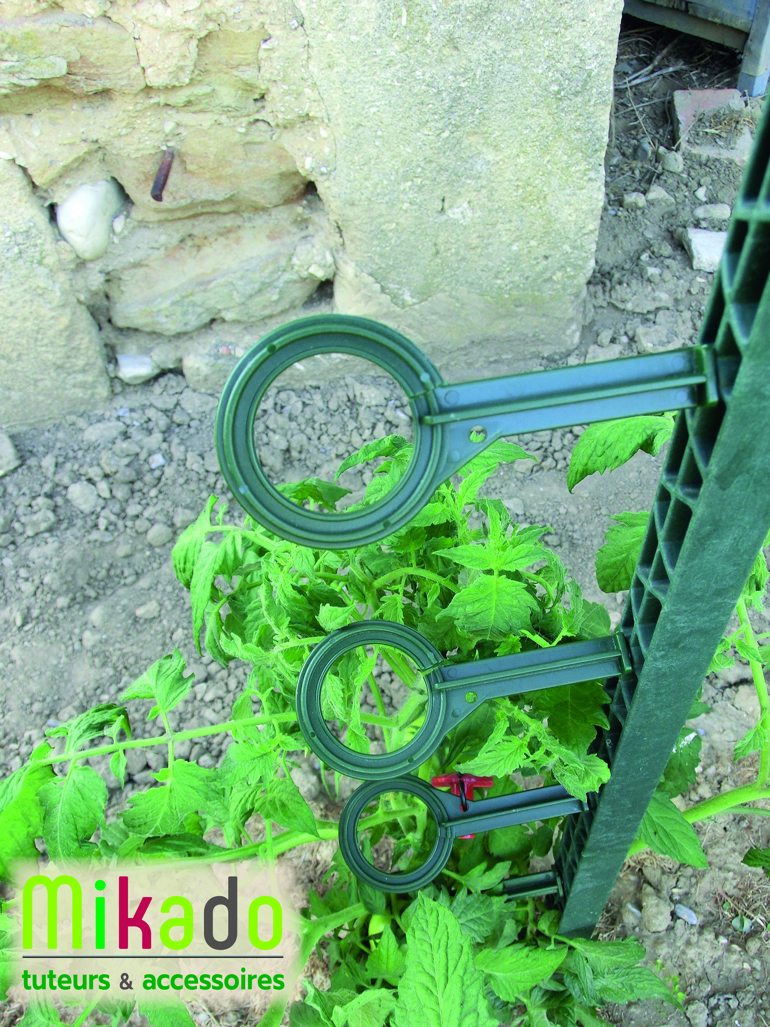 Attaches x6 pour tuteur à tomate Mikado