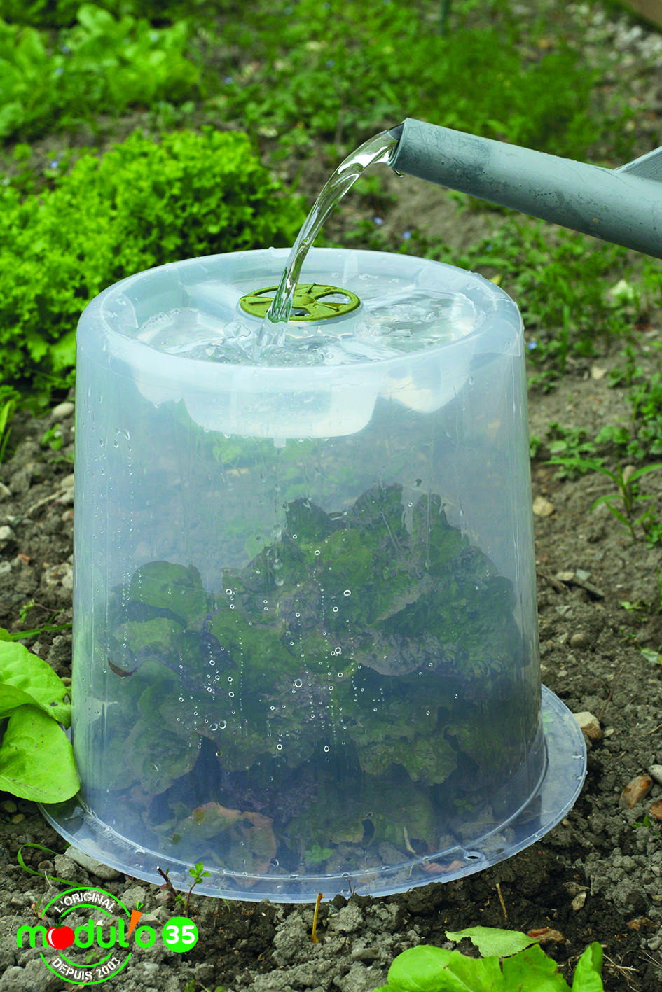 Cloche Modul'o 35 à forçer + 2 piquets offerts