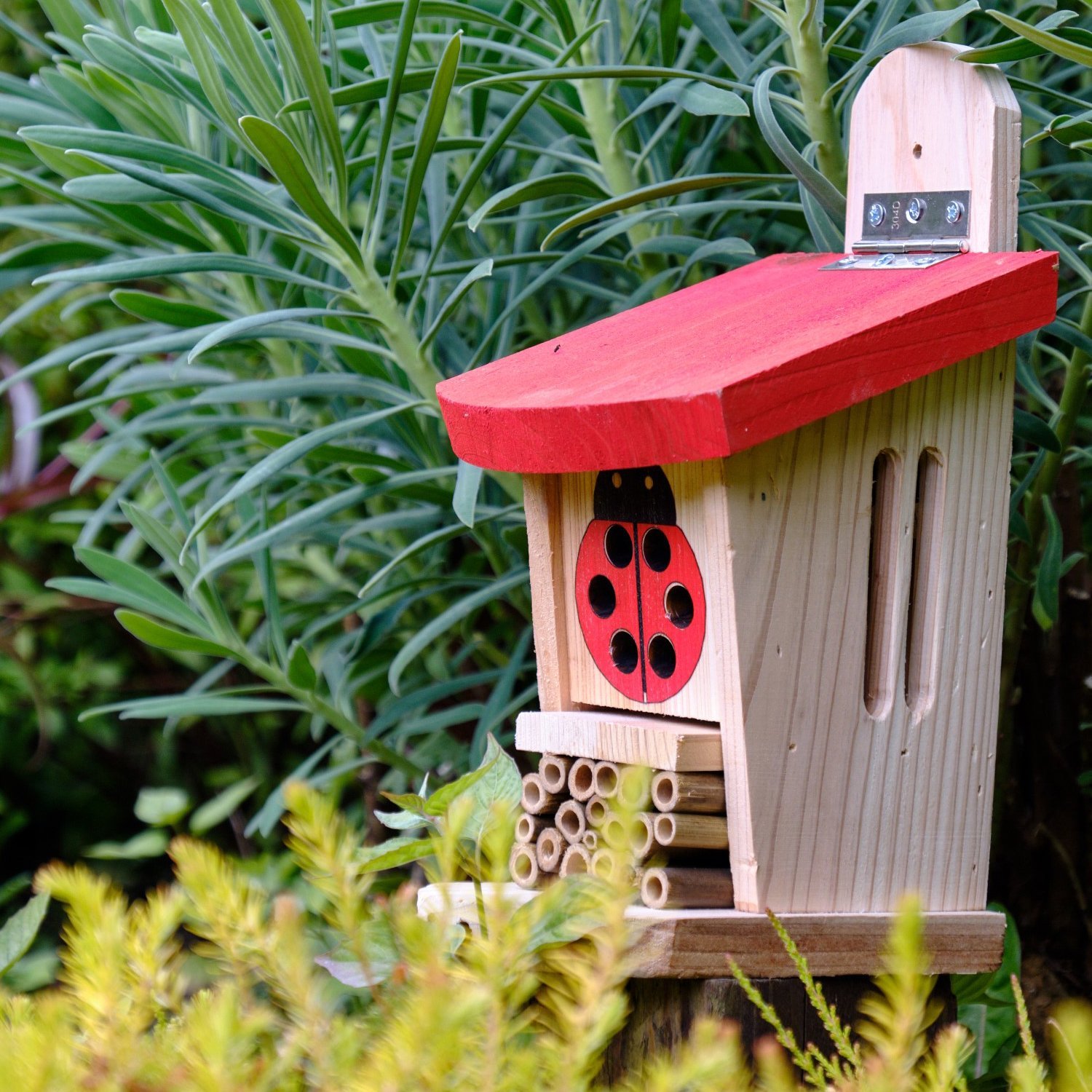 La loge à Coccinelle