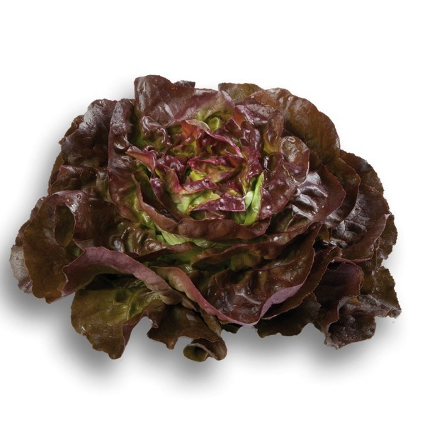 Salade Pommée rouge