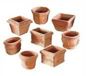 Baby Pot