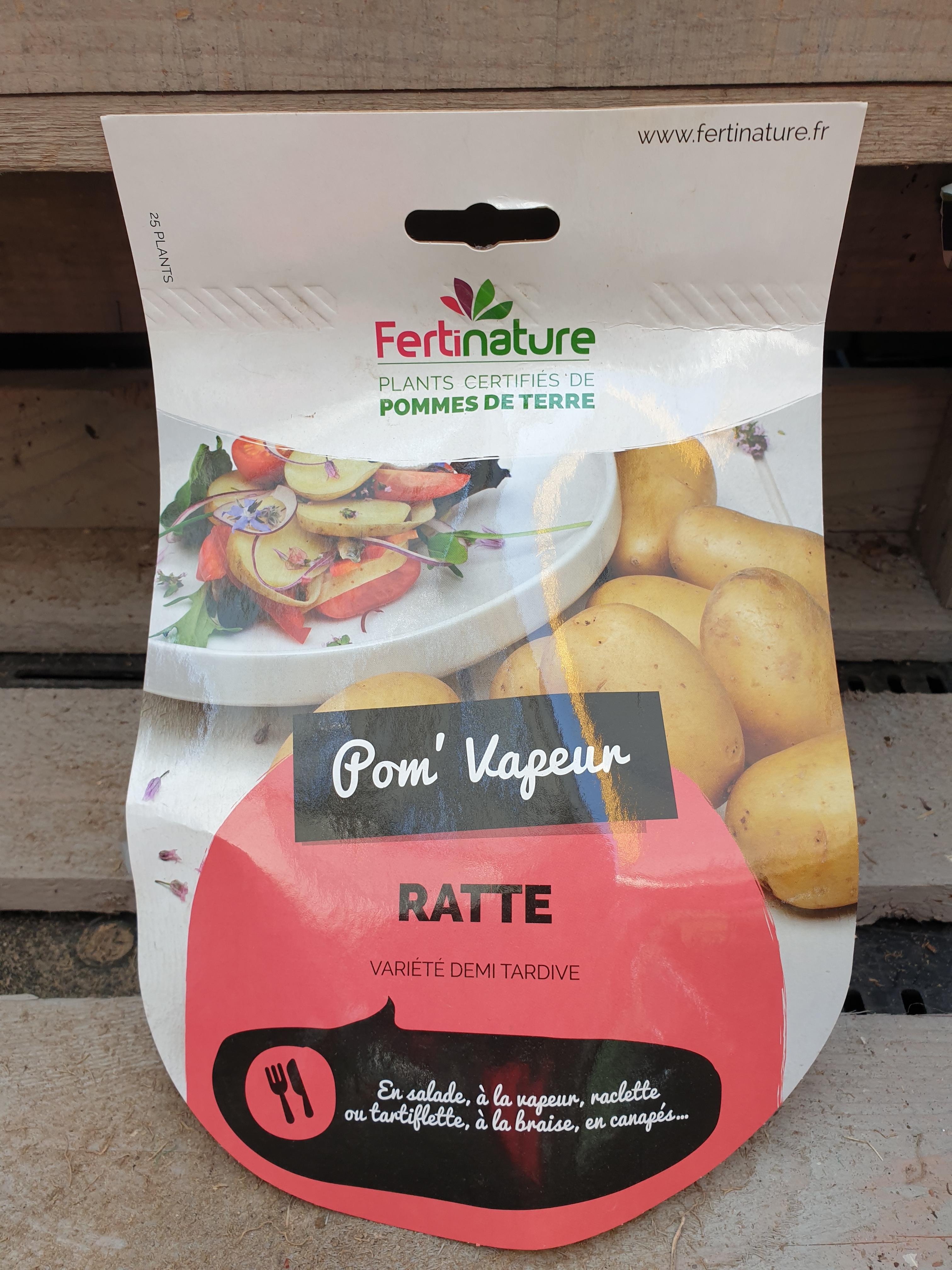 RATTE F 25/32 25PL