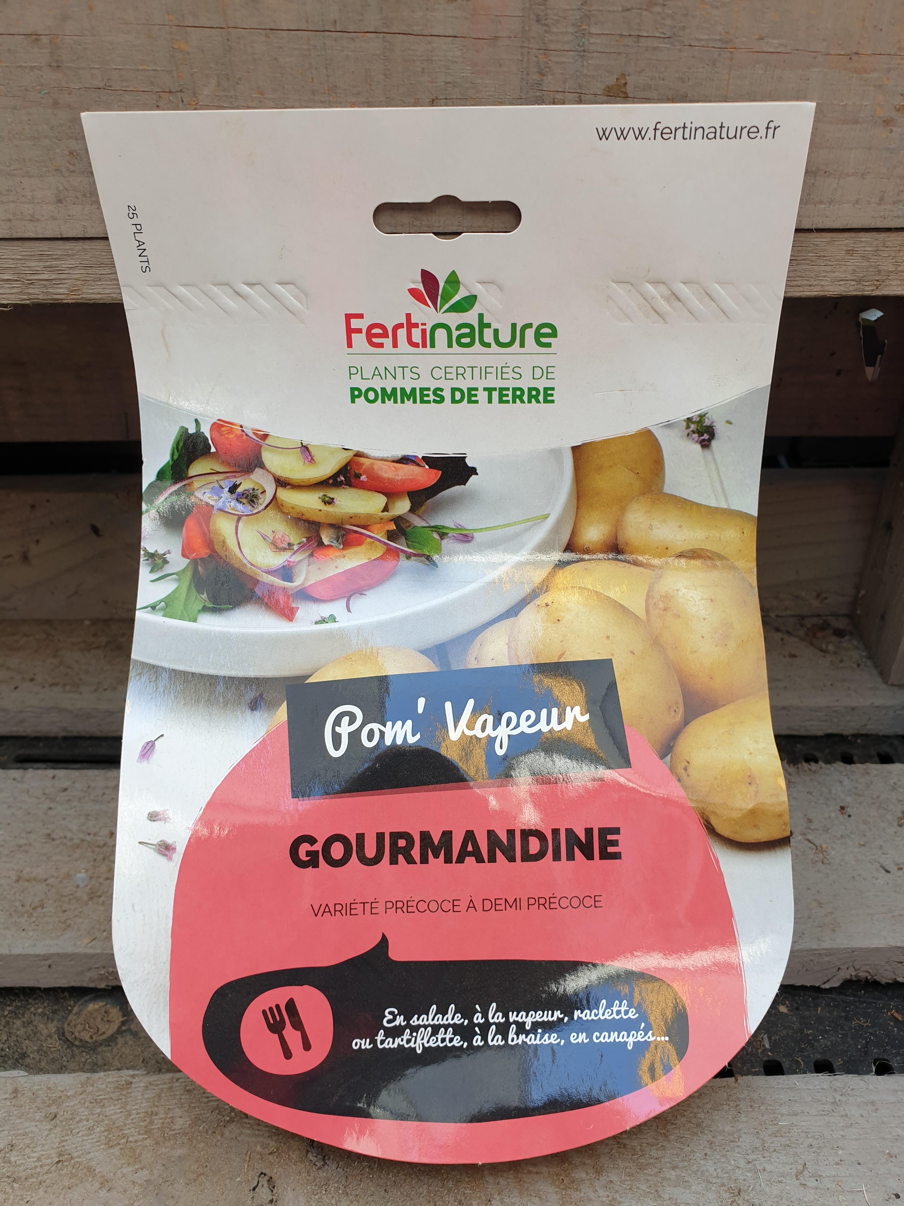 GOURMANDINE F 28/32 25PL