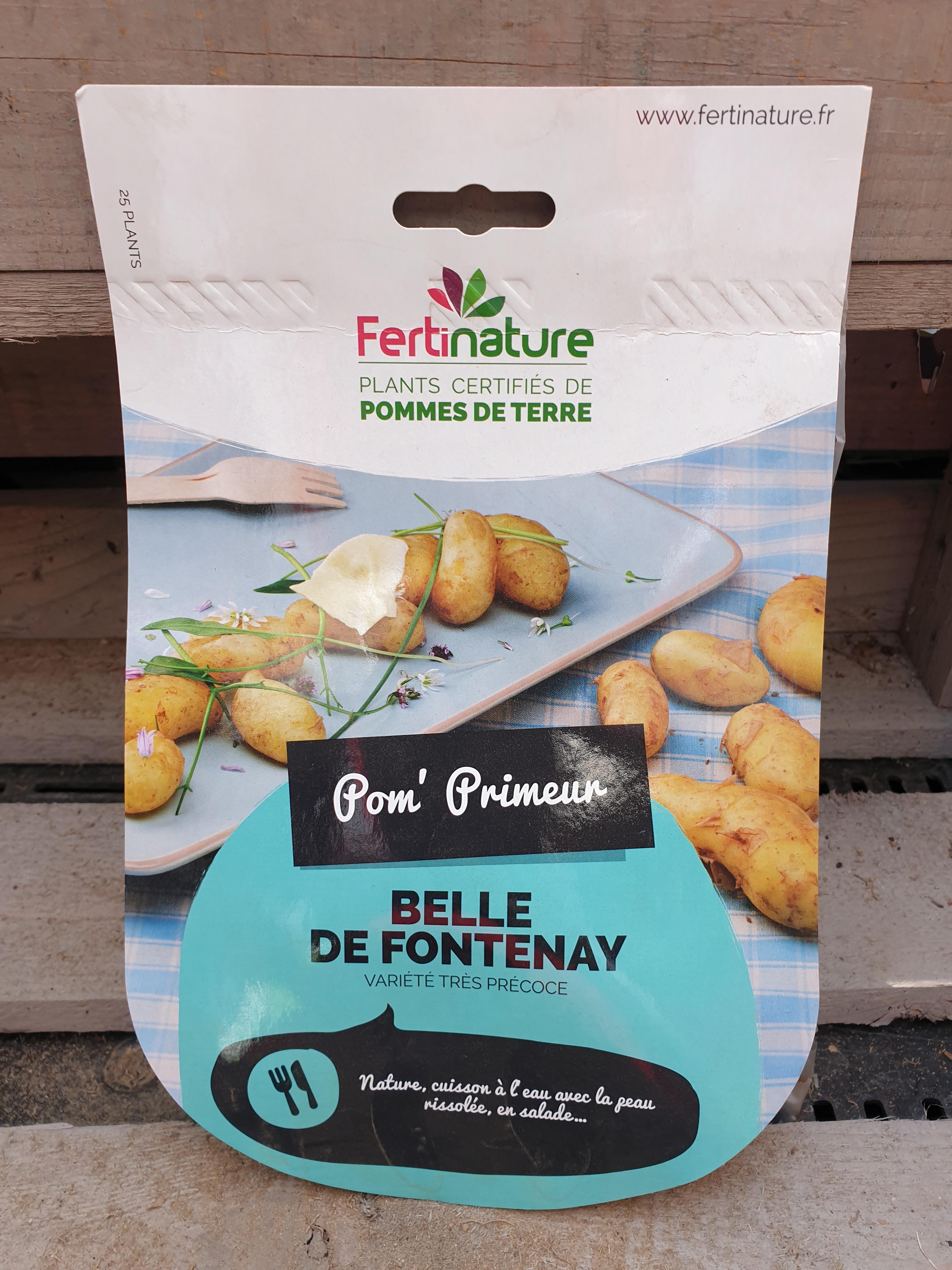 BELLE DE FONTENAY F 25/32 25PL