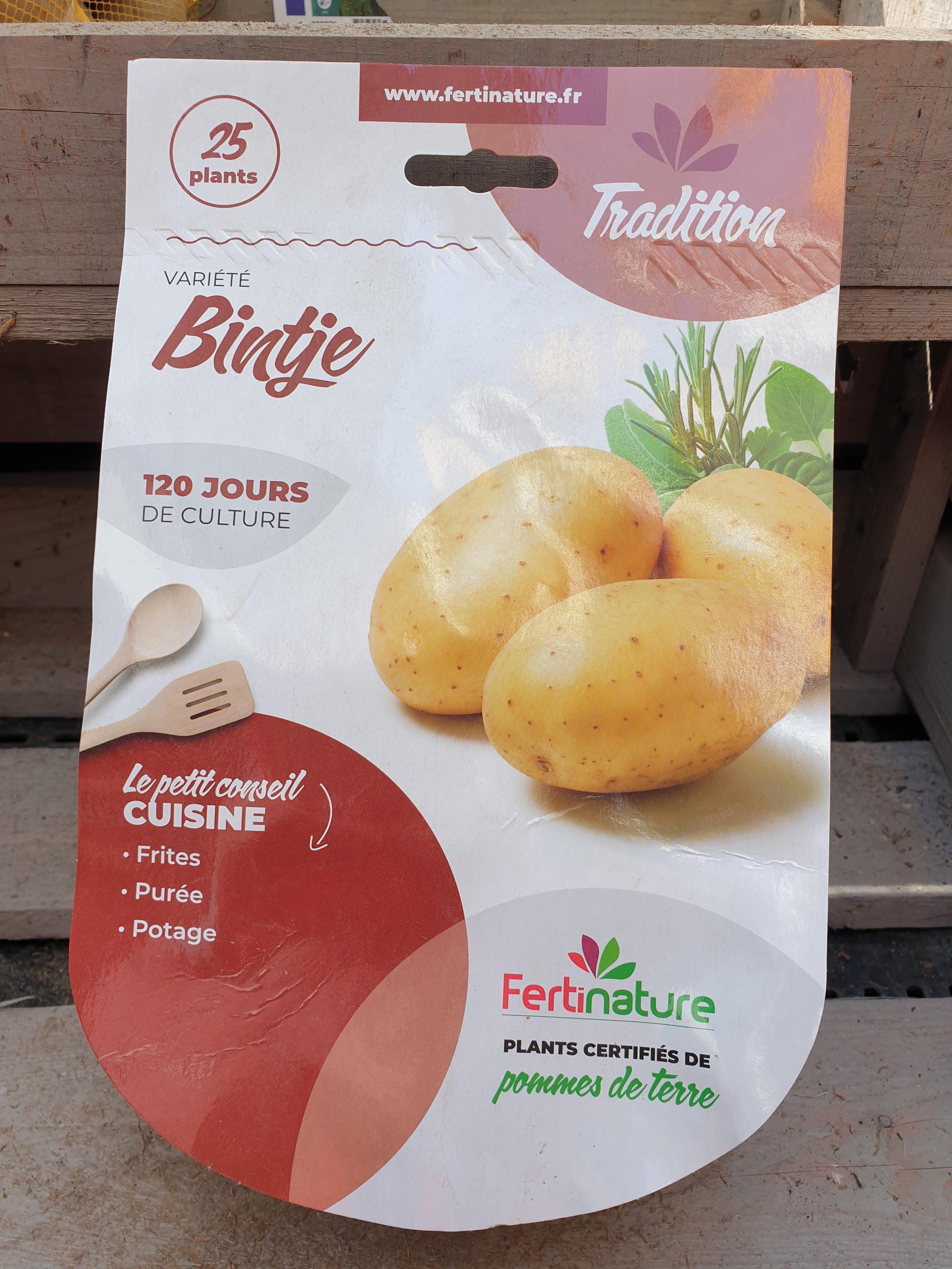 BINTJE F 28/35 25PL
