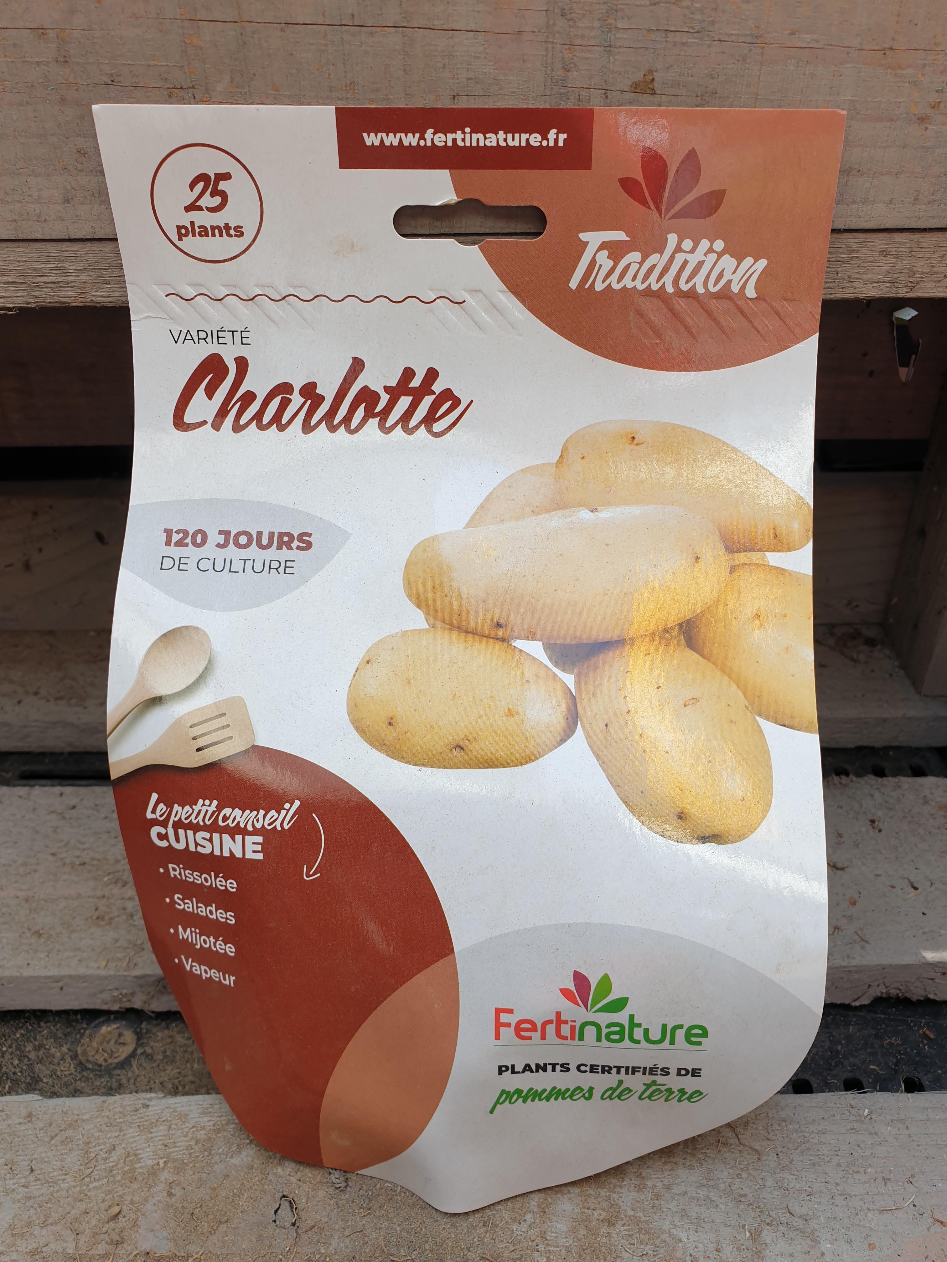 CHARLOTTE F 25/32 25PL
