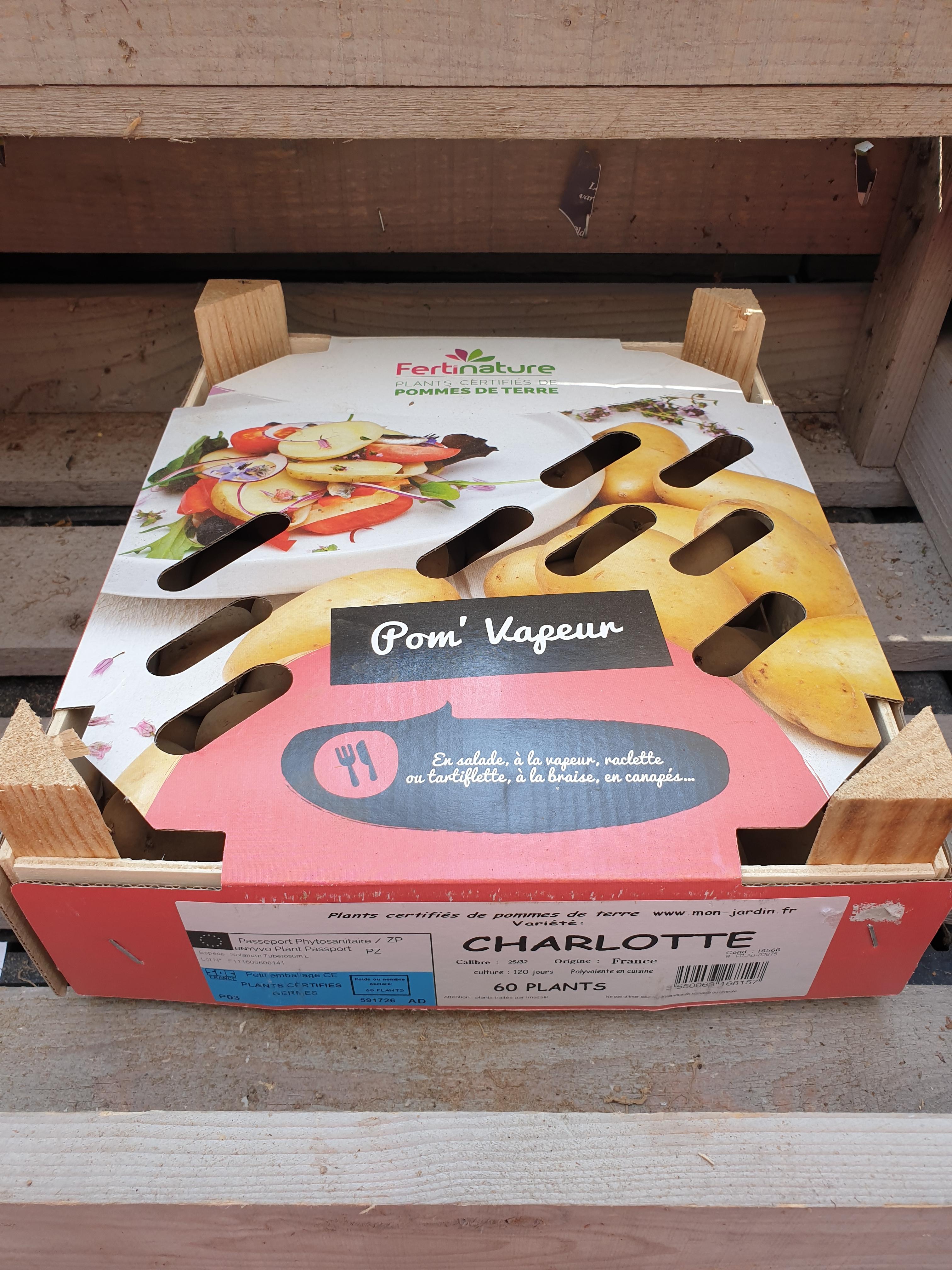 CHARLOTTE F 25/32 60PL