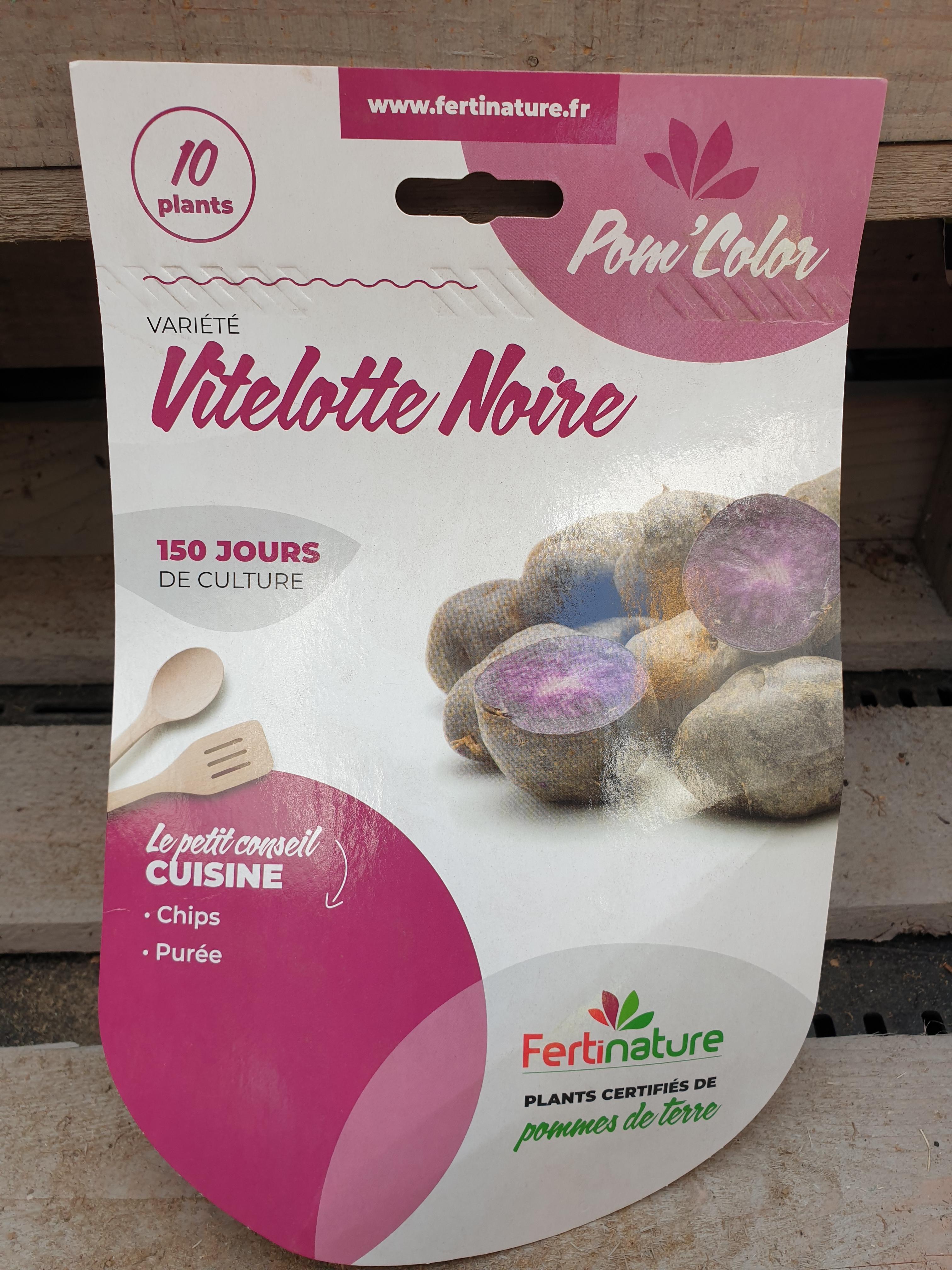 VITELOTTE F 25/32 10PL