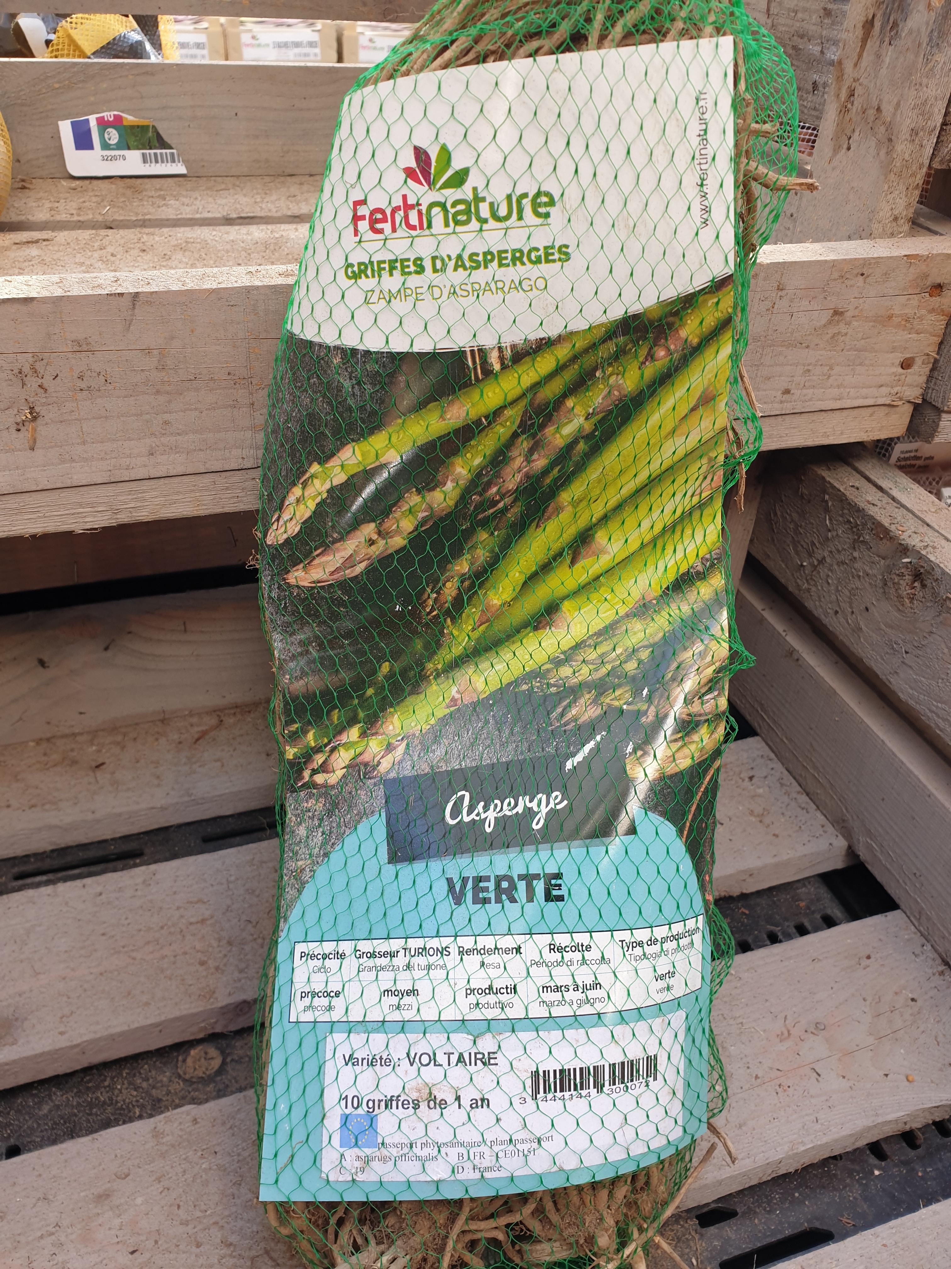 ASPERGE VERTE (VOLTAIRE) X10