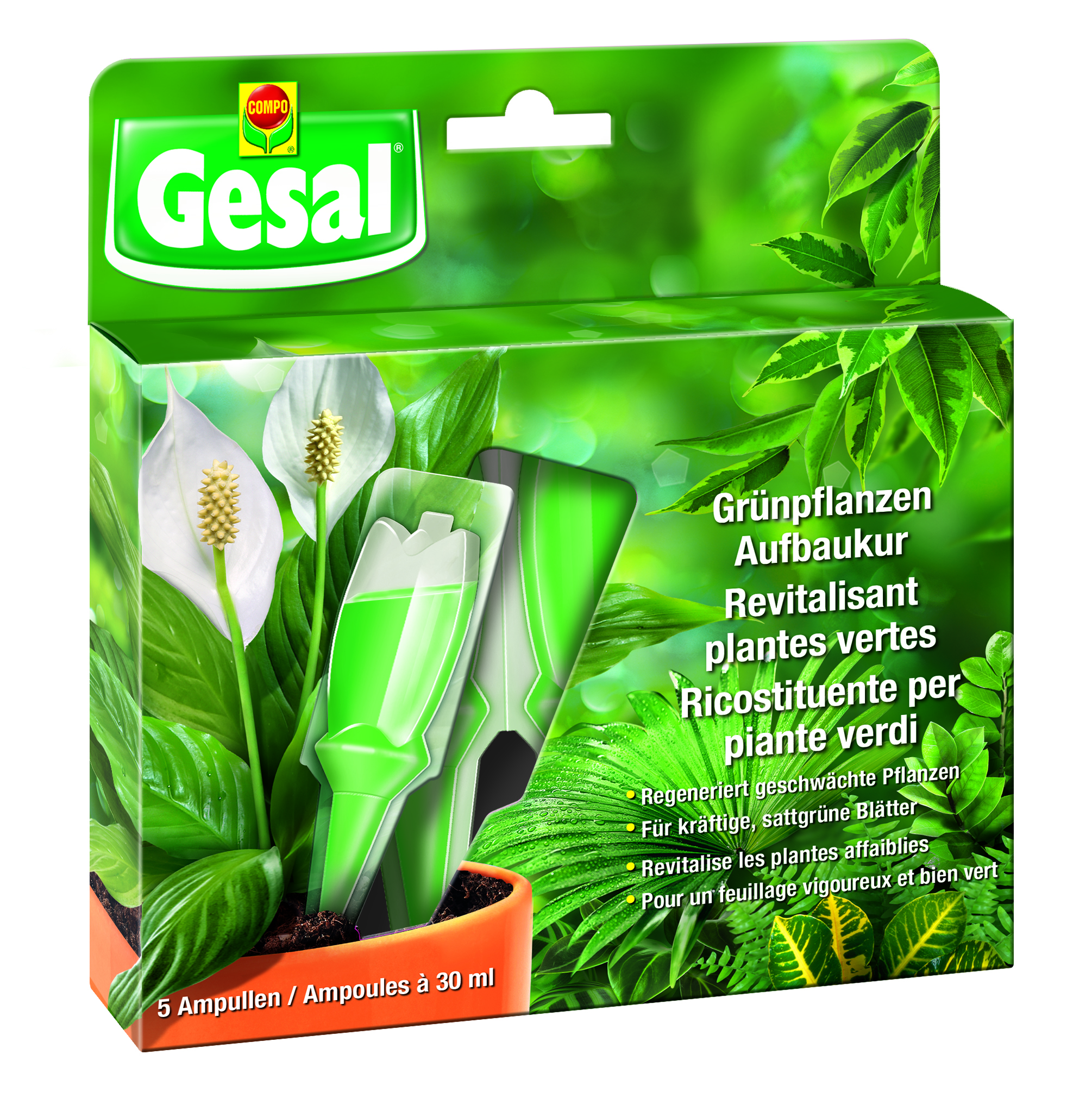 Revitalisant plantes vertes