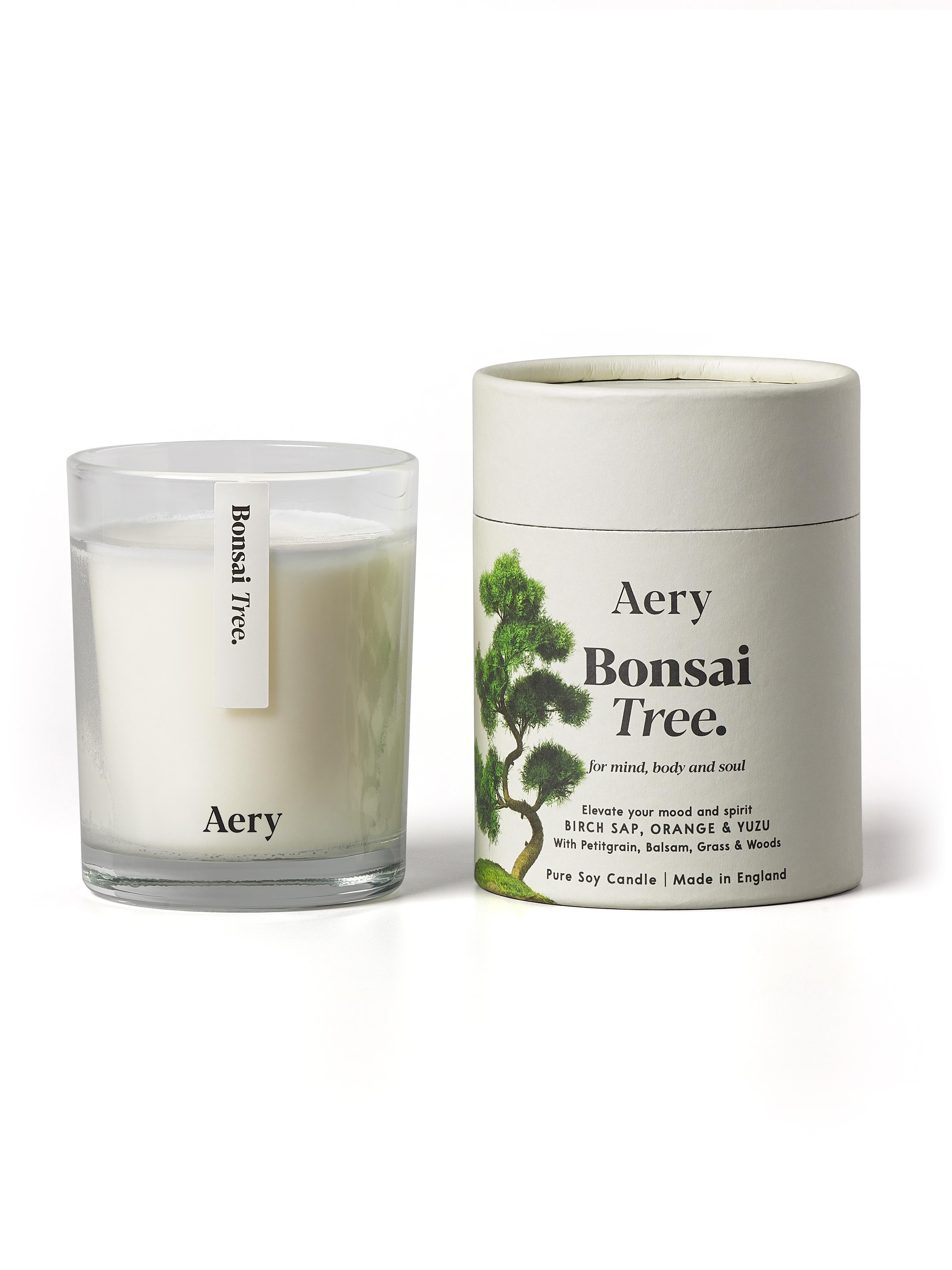 Bougie Parfumée Bonsai Tree