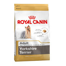 Yorkshire Terrier 500 g