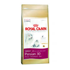 Persian 2 kg