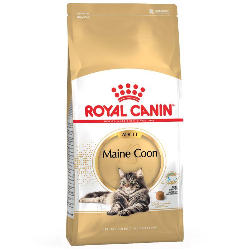 Maine Coon 4 kg