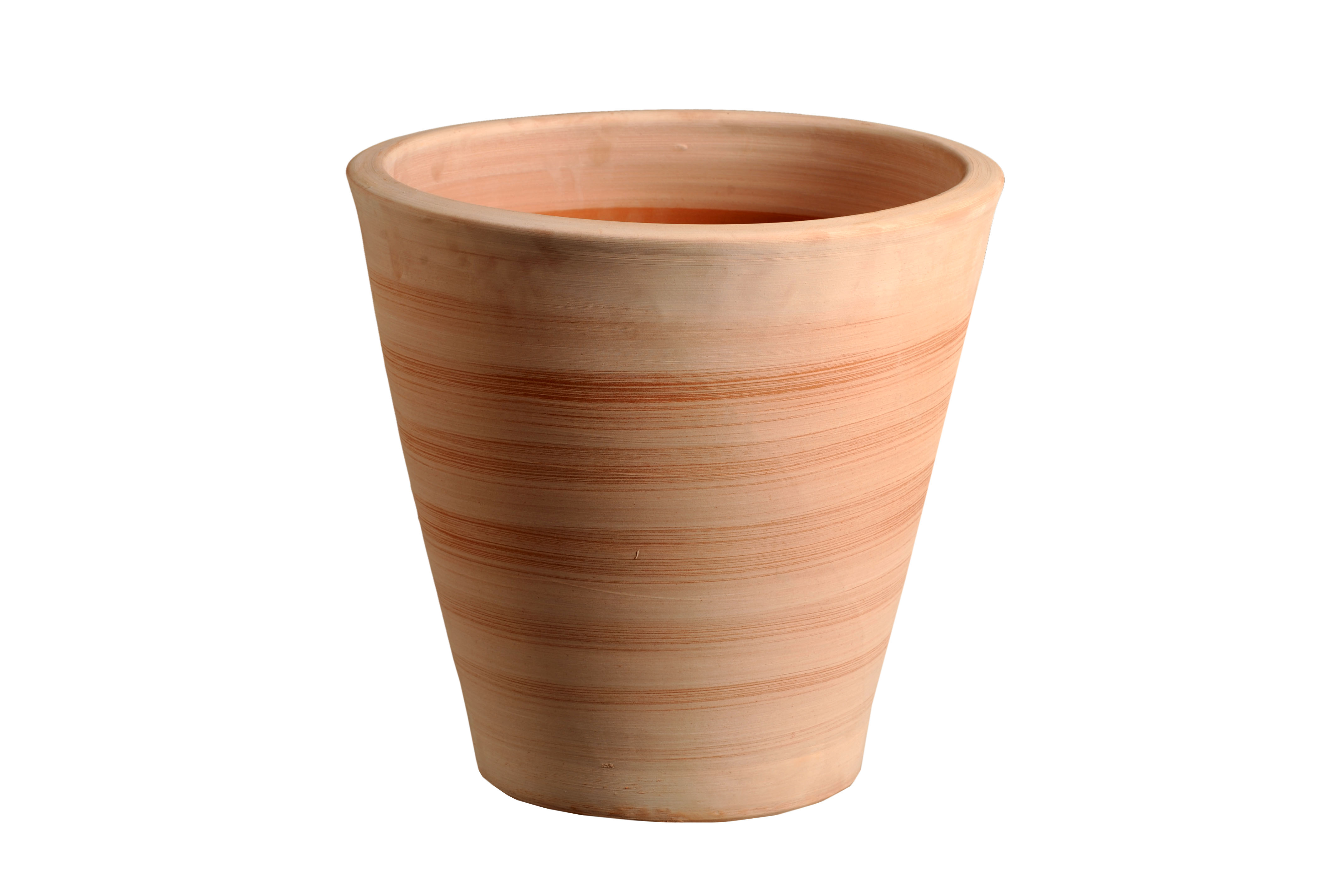 Cuvier contemporain 29*29
