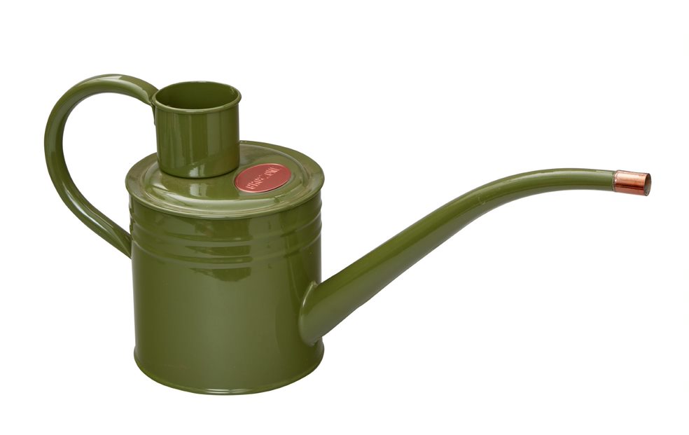 Mini arrosoir vert