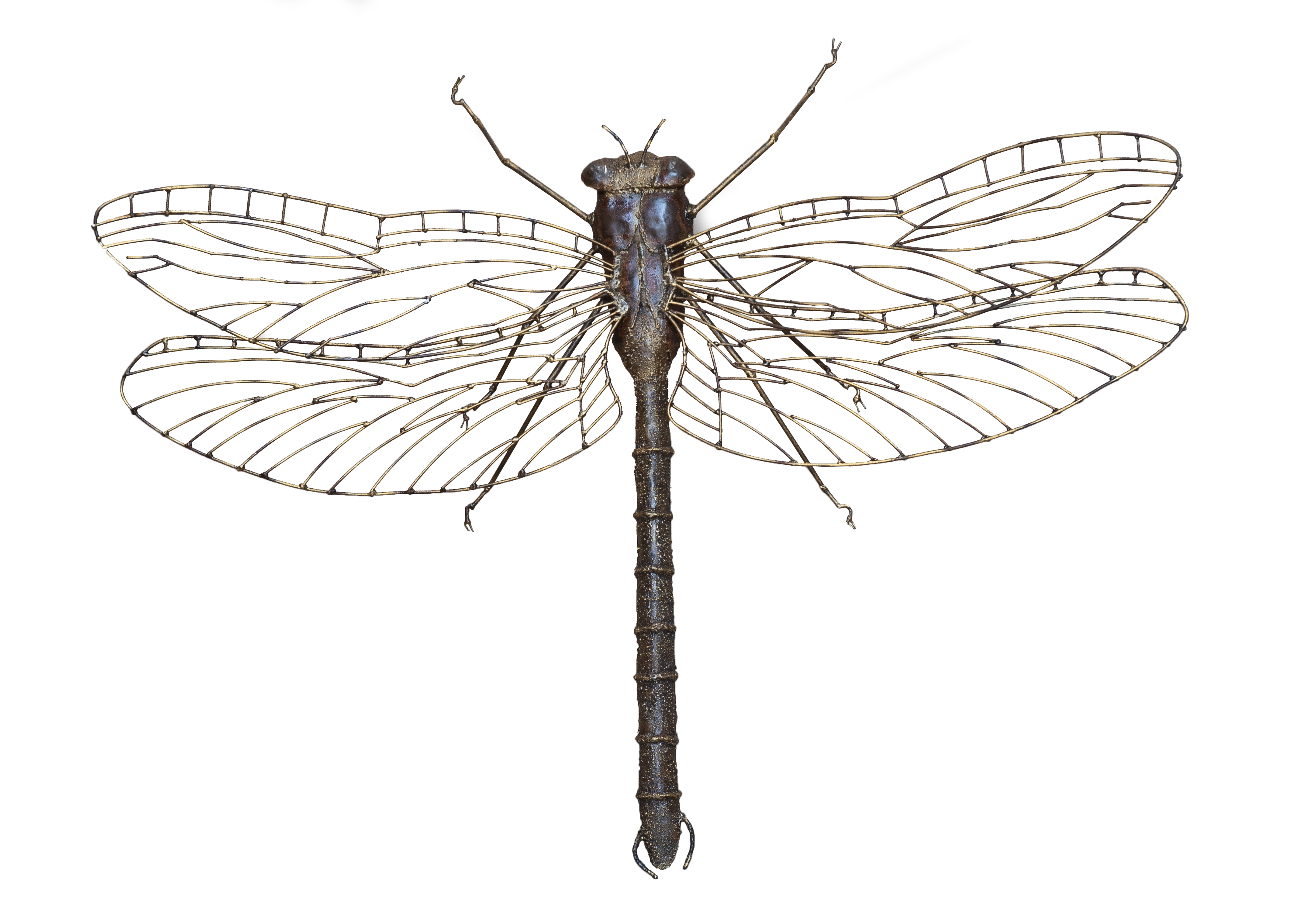Libellule Geante