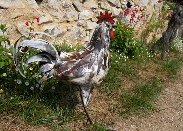 Coq Pm Blanc