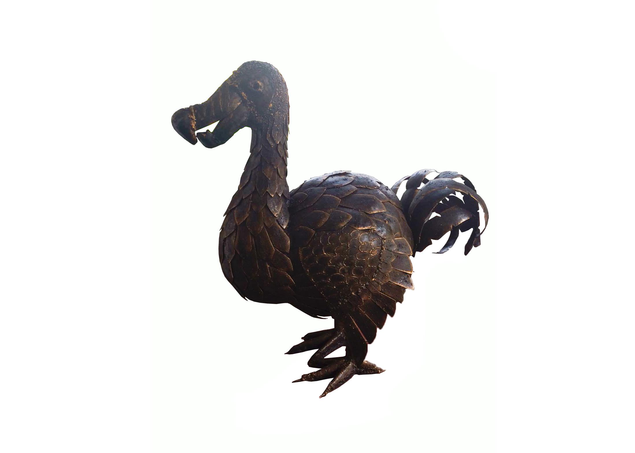 Dodo Le Retour