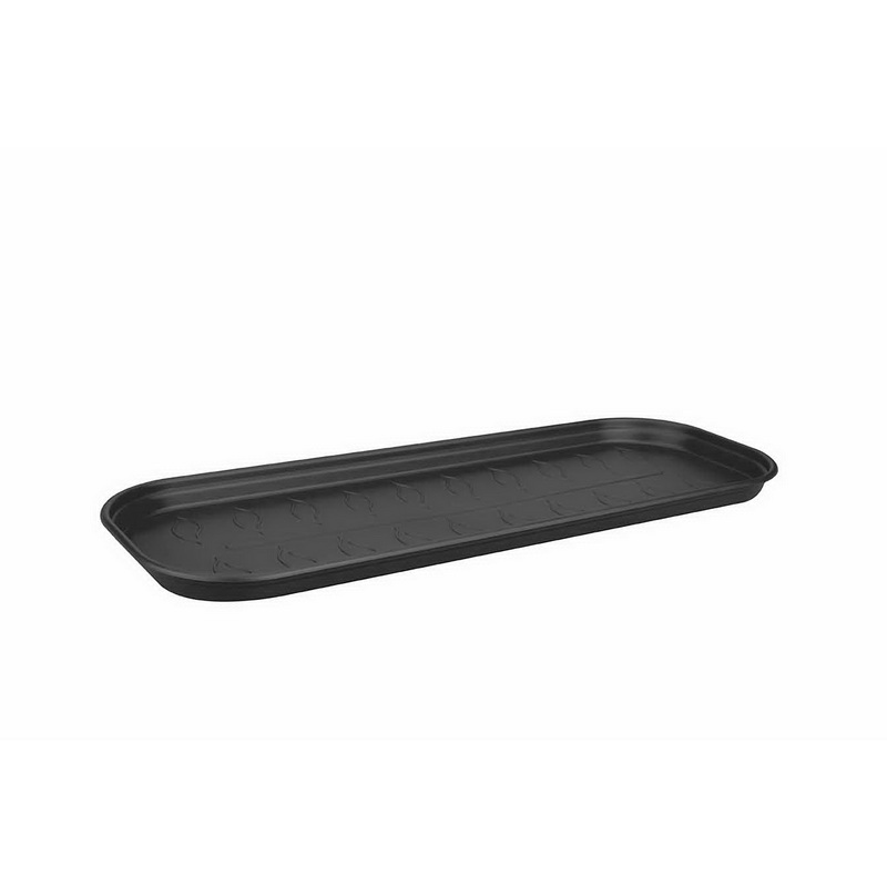 Green Basics Plat Cult Soucoupe L