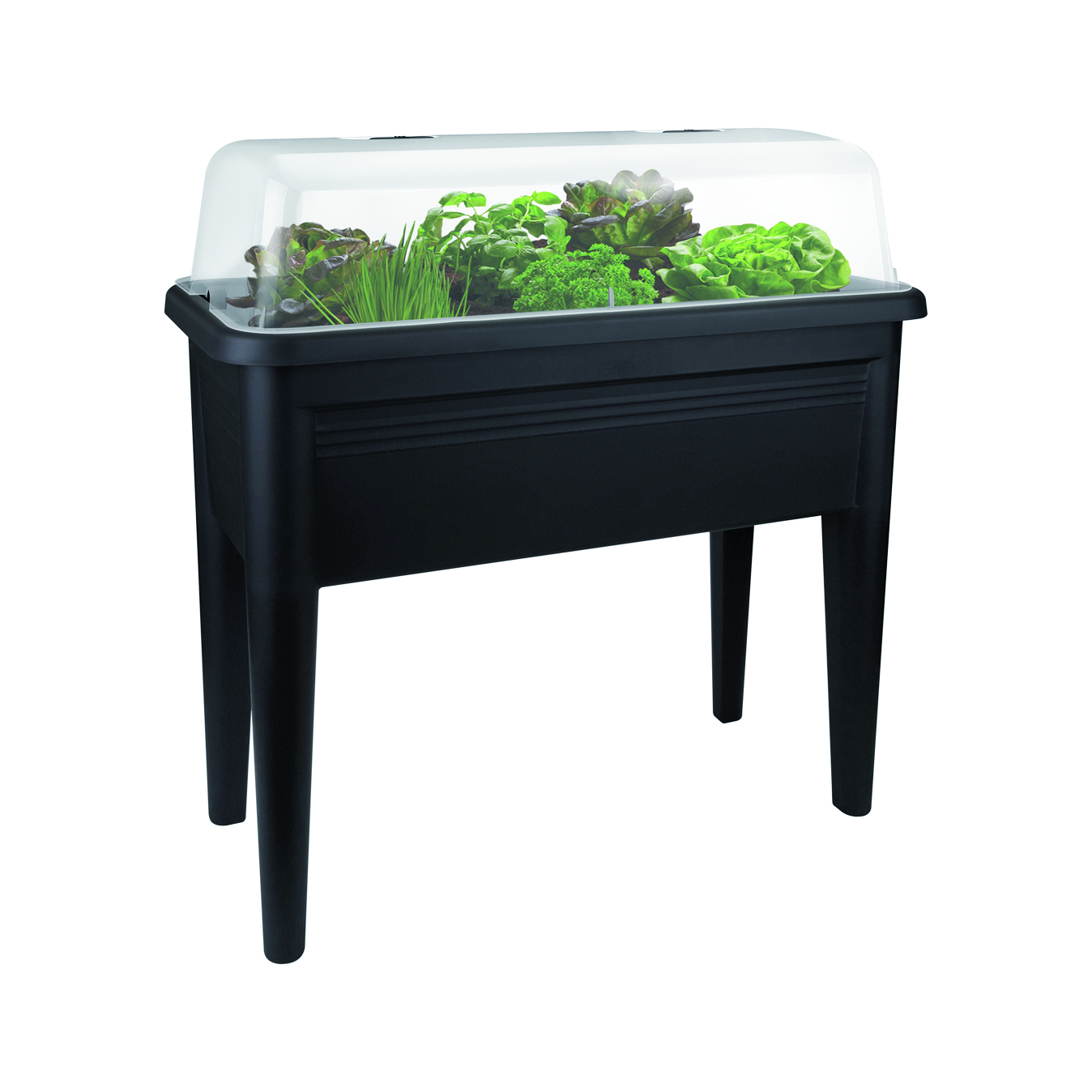 green basics table de culture XXL