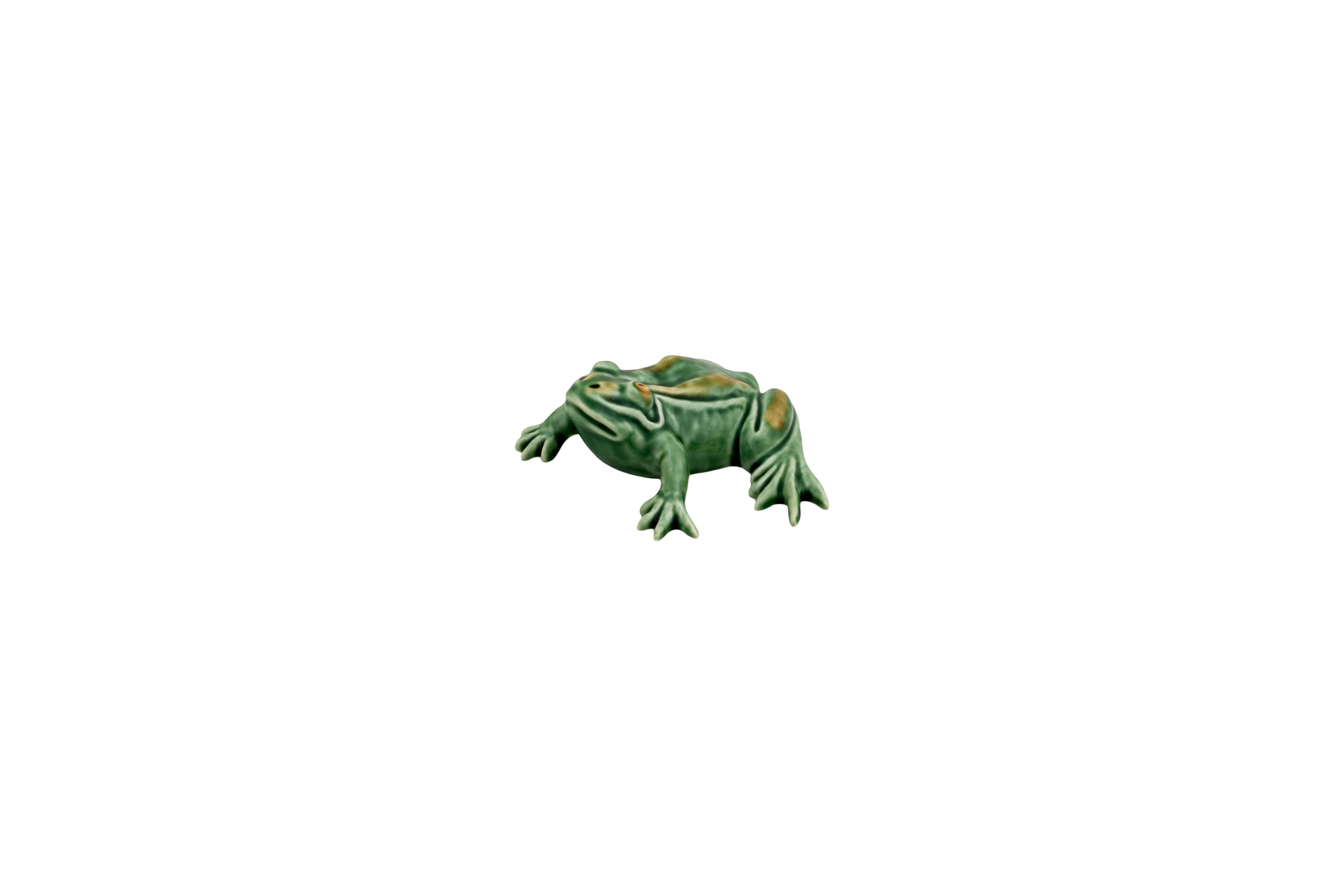 Grenouille couchée
