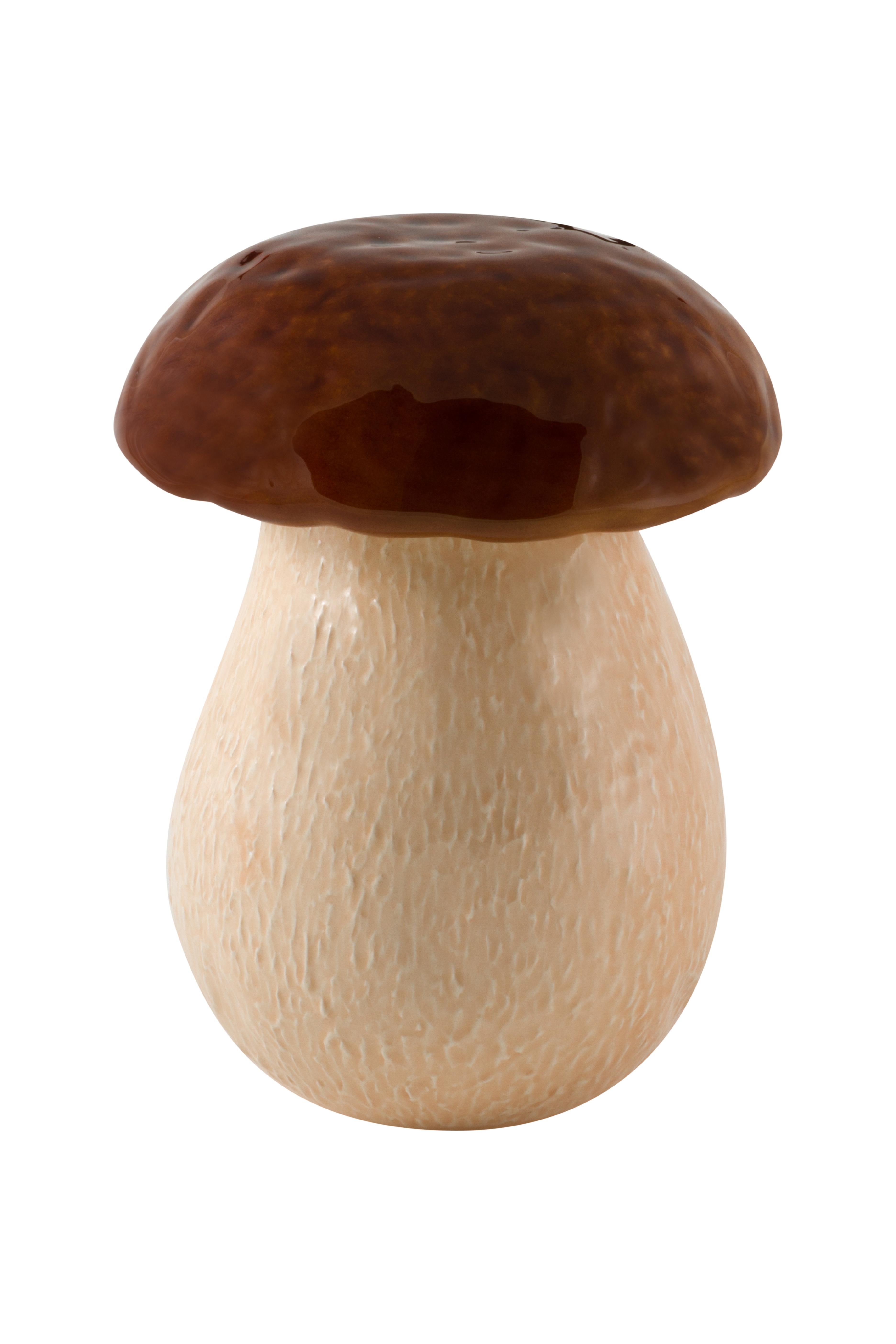Boite Champignon