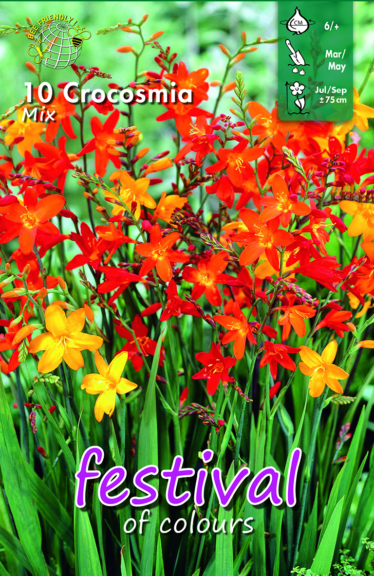 Crocosmia en Mélange