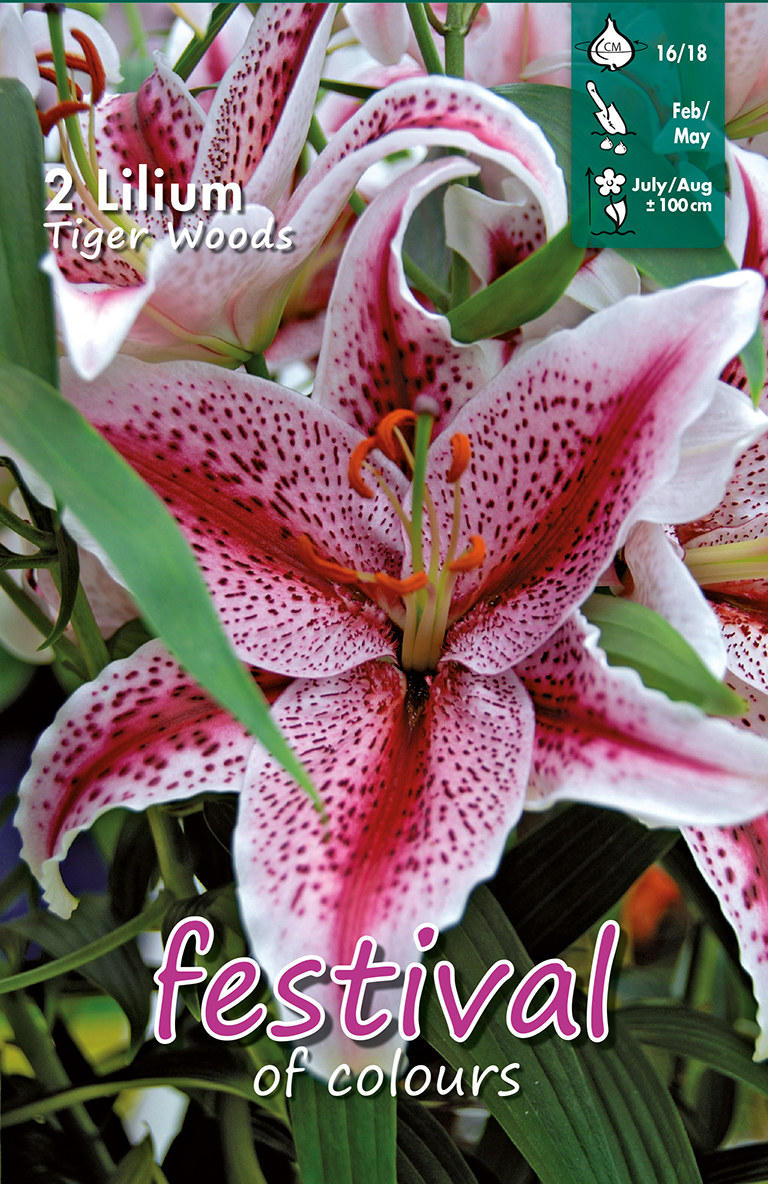 Lilium Orientalis TIGER WOODS