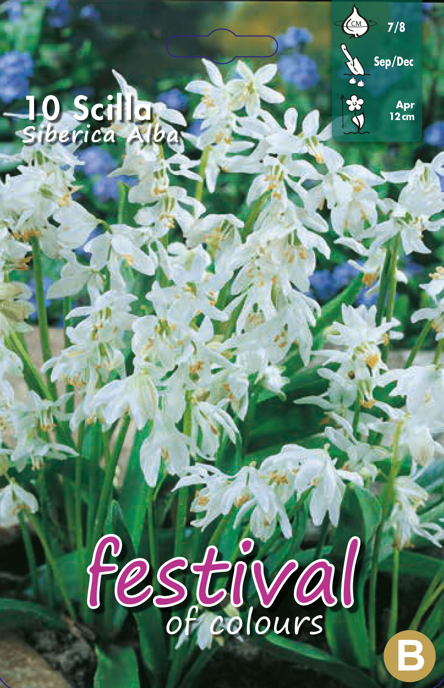 Scilla siberica 'Alba