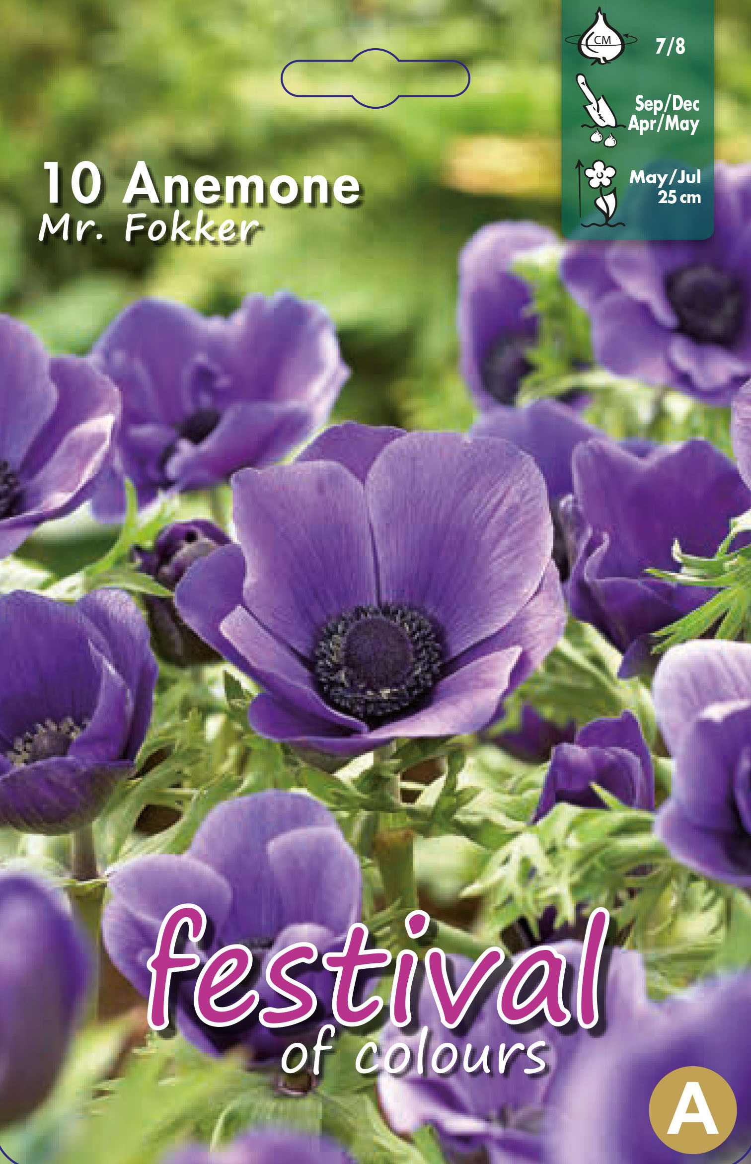 Anemone MR. Fokker