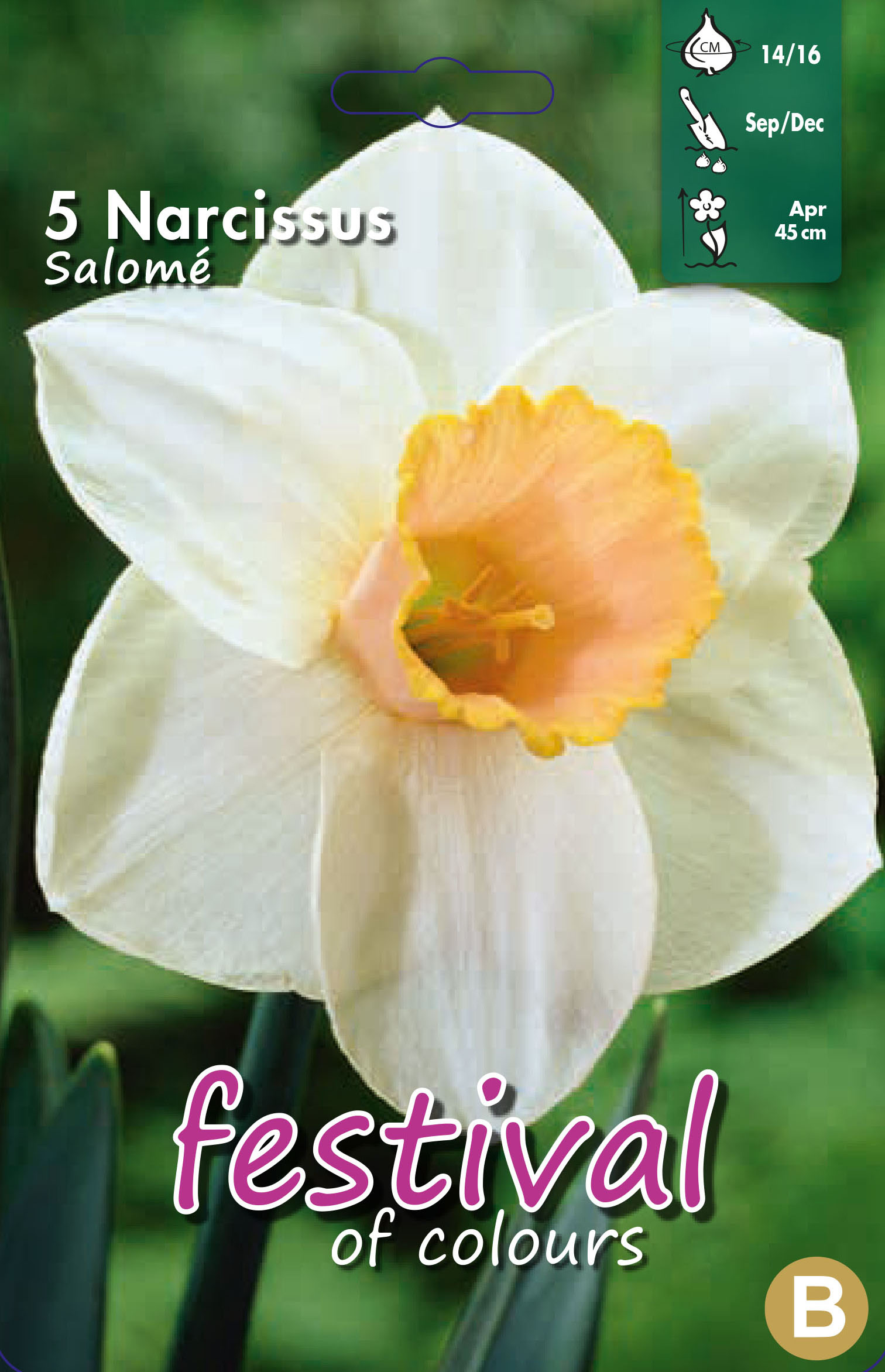 Narcissus 'Salome'