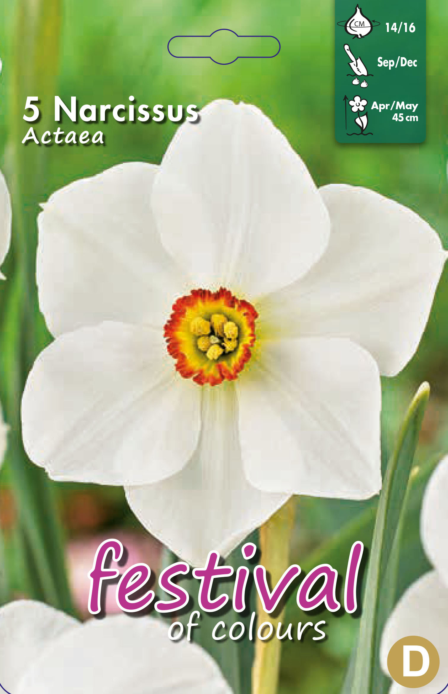 Narcissus 'Actaea'