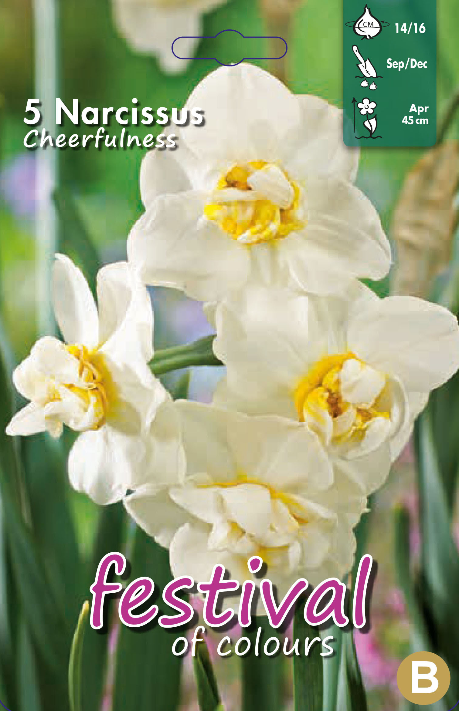 Narcissus 'Cheerfulness'
