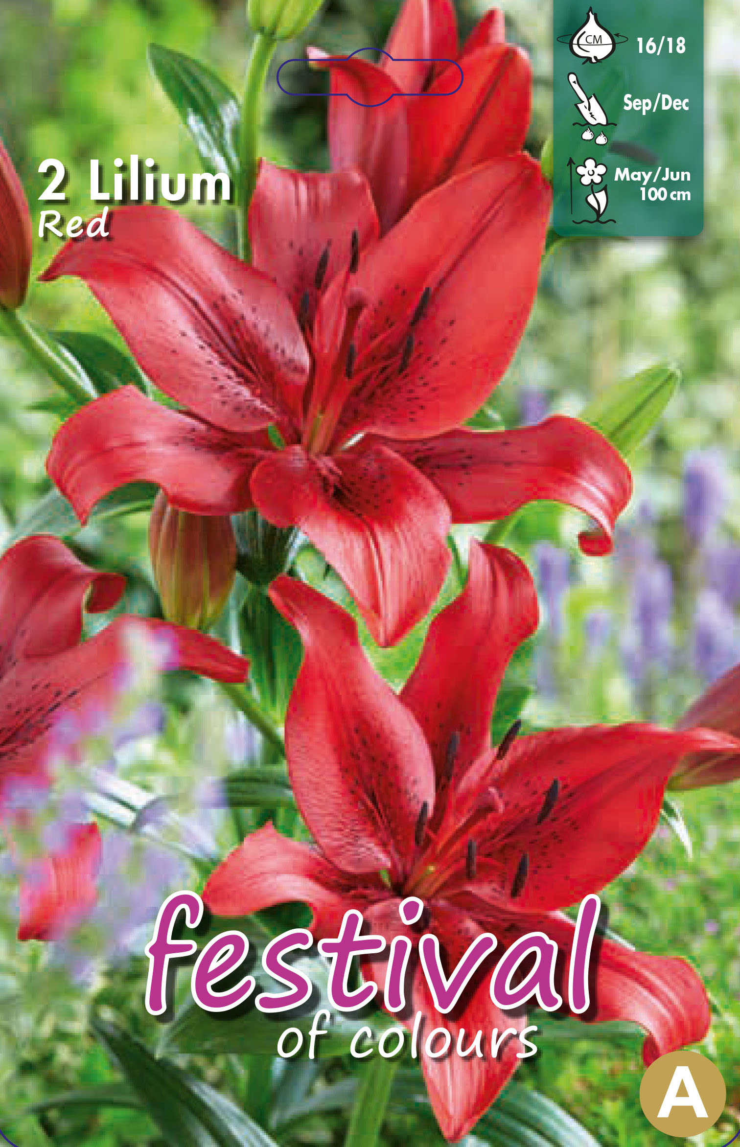 Lilium asiatique Rouge