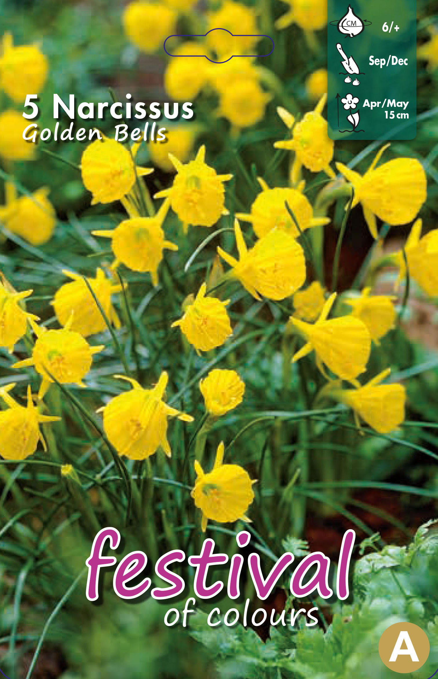 Narcissus 'Golden Bells'