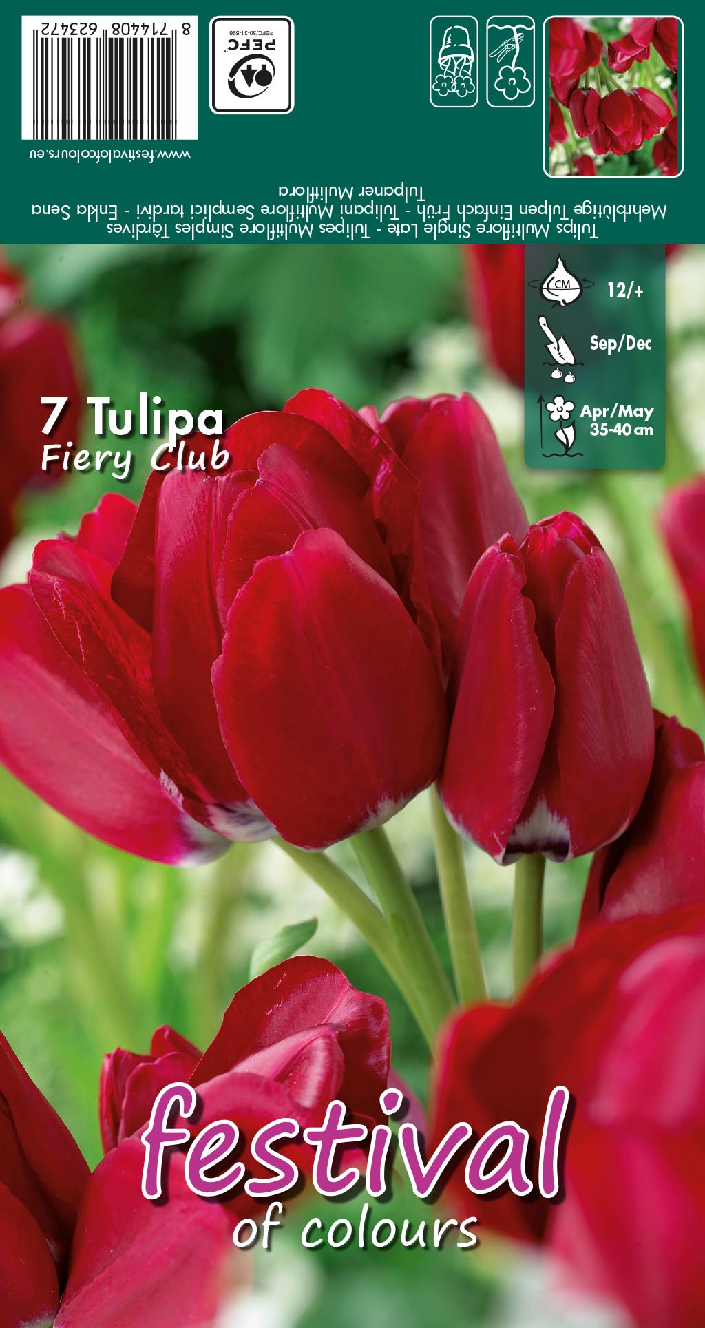 Tulipes 'Fiery Club'