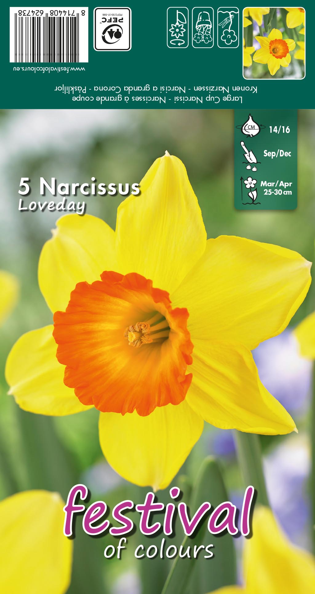 Narcissus 'Loveday'