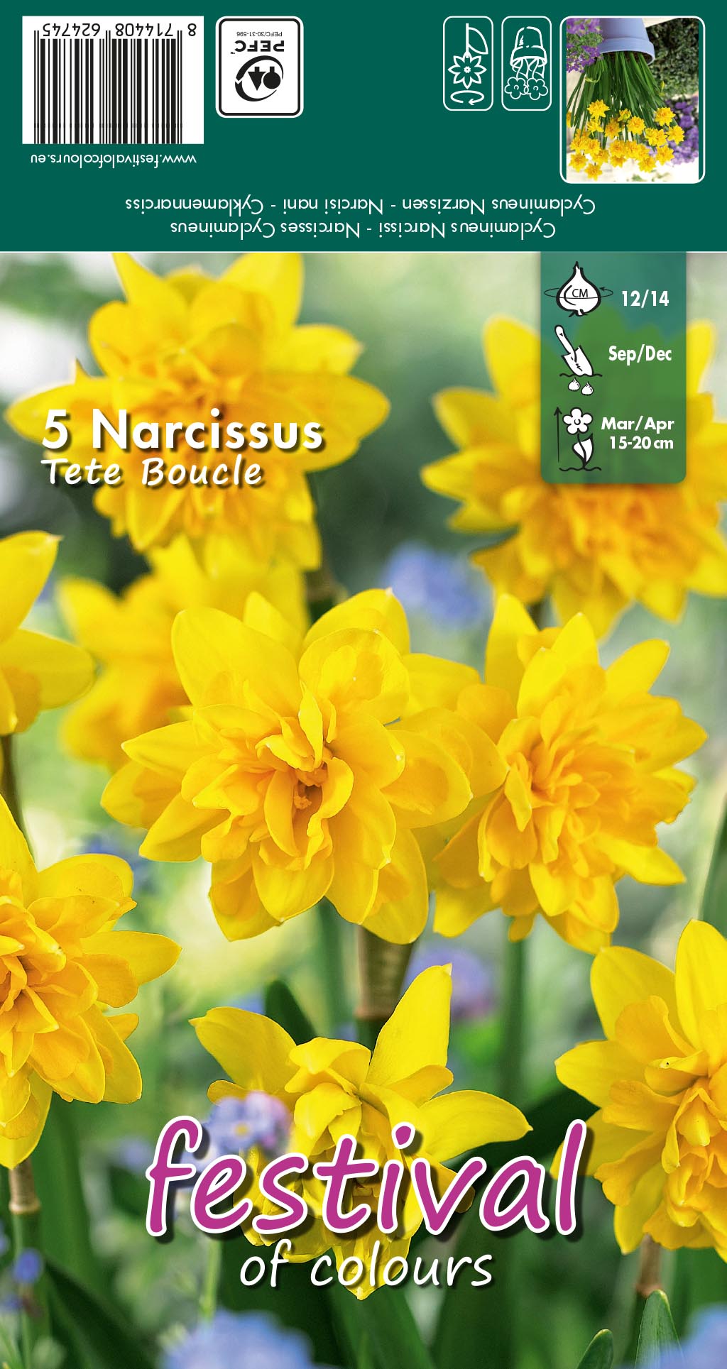 Narcissus 'Tete Boucle'