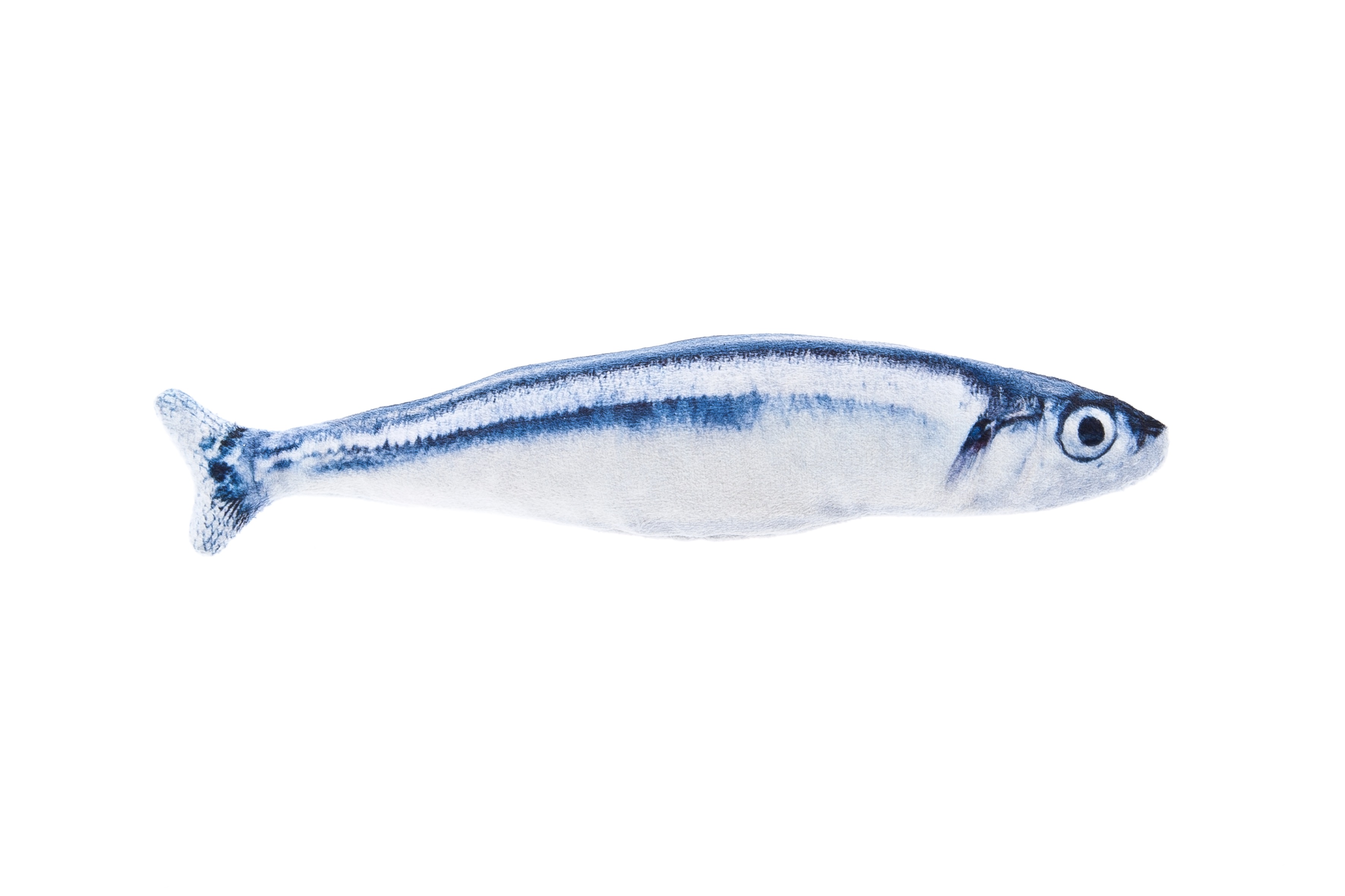 Jouet chat Sardine Matatabi
