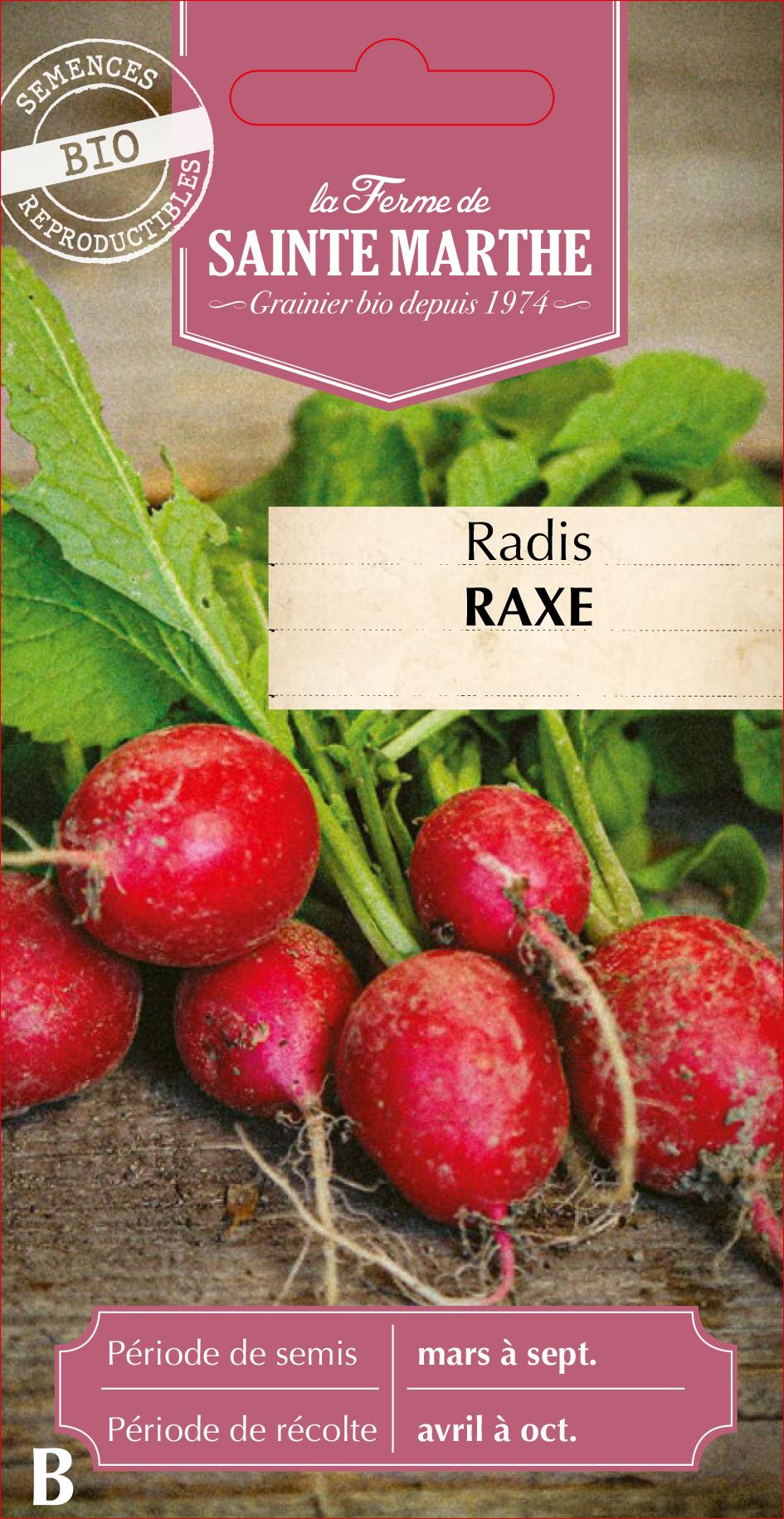 Radis Raxe
