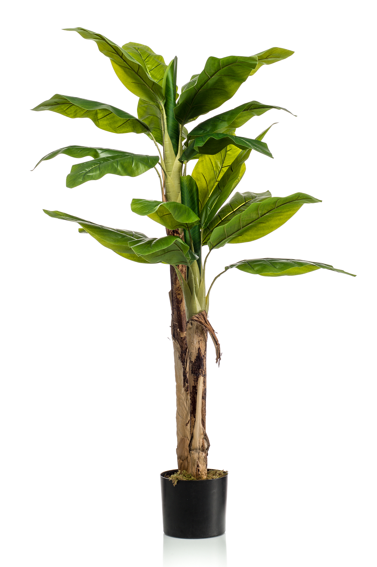 Bananier artificiel