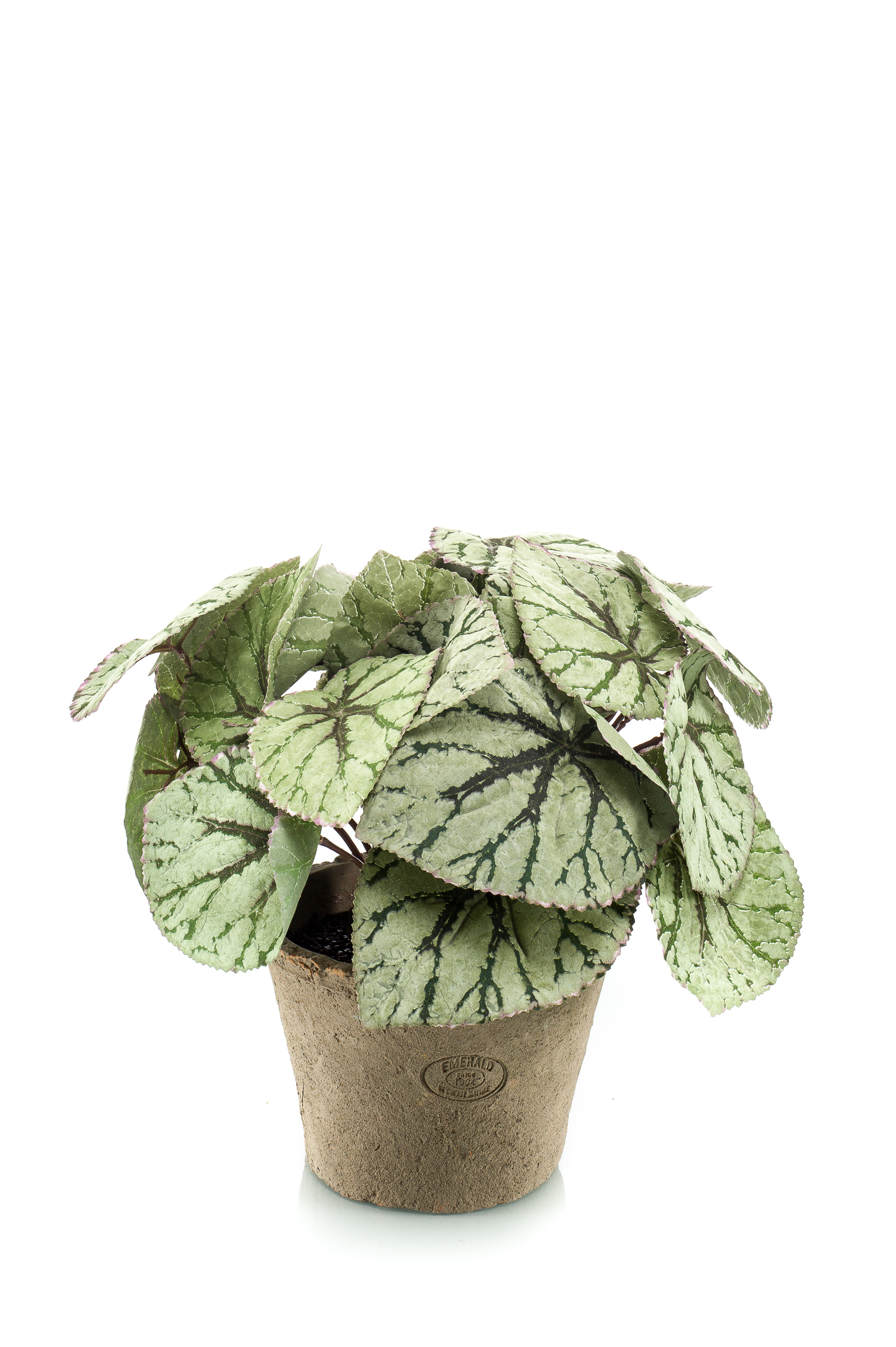 Bégonia Rex résistant UV en pot antique artificiel