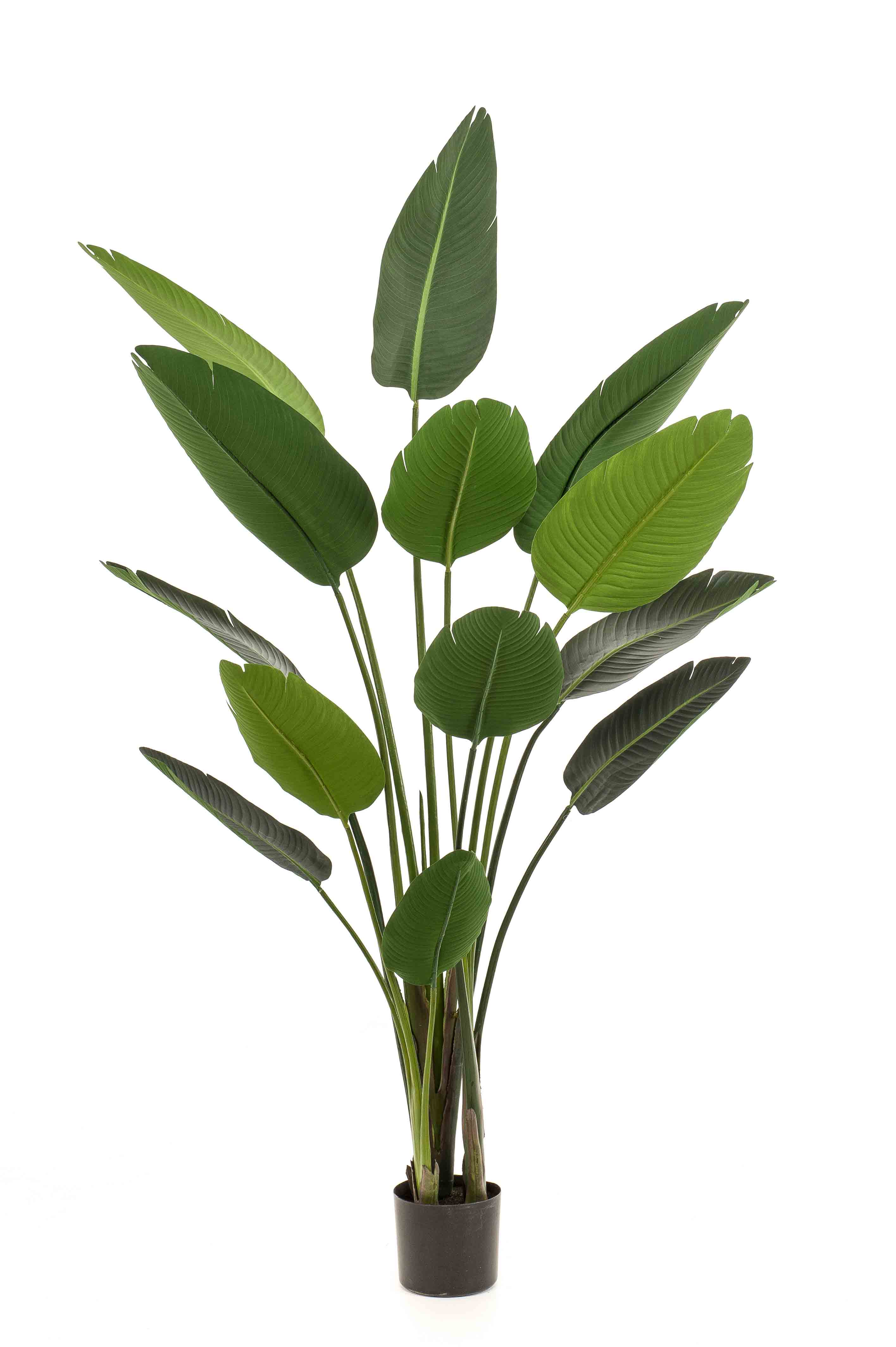 Strelitzia artificiel