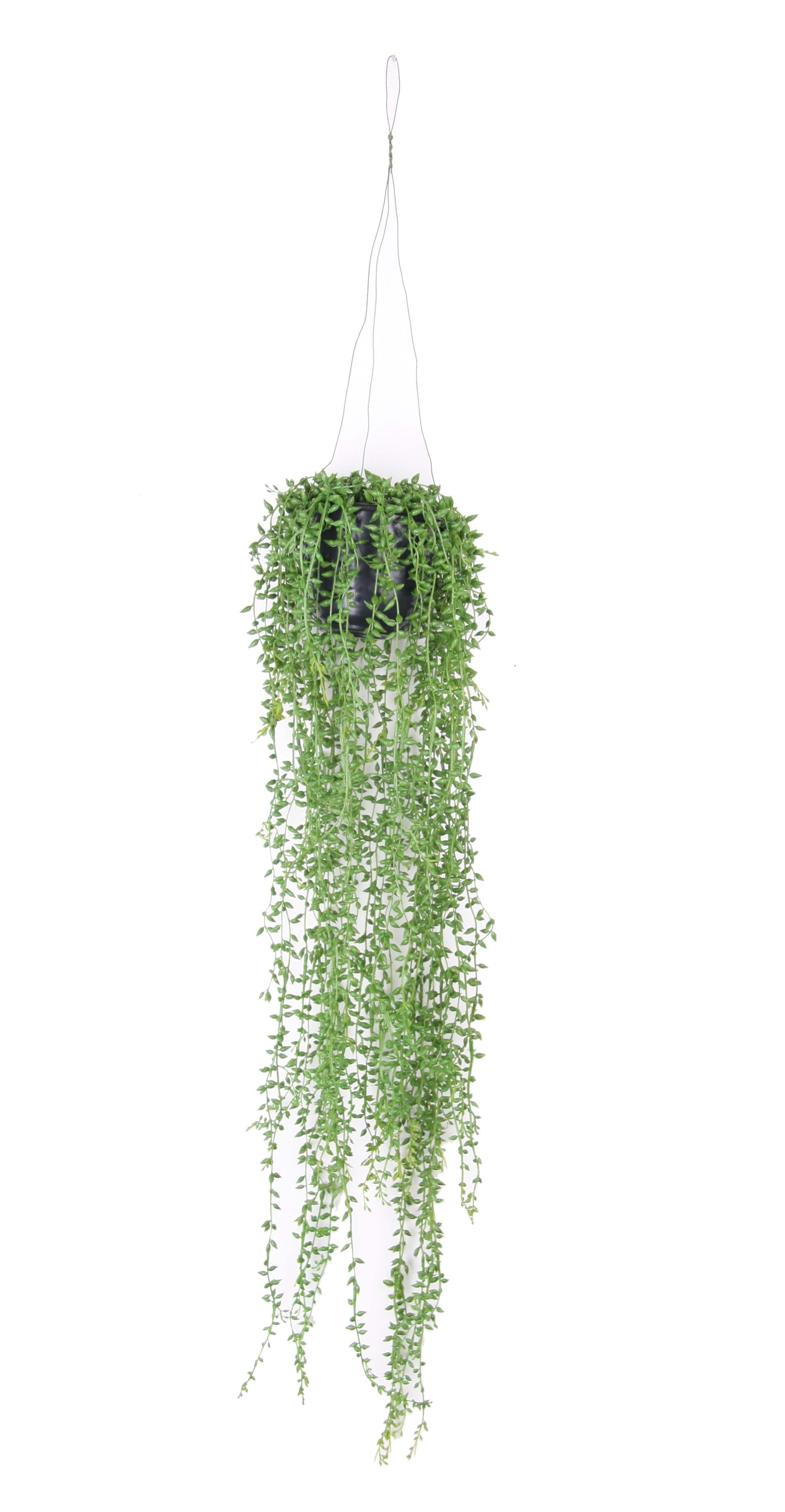 Senecio à suspendre artificiel