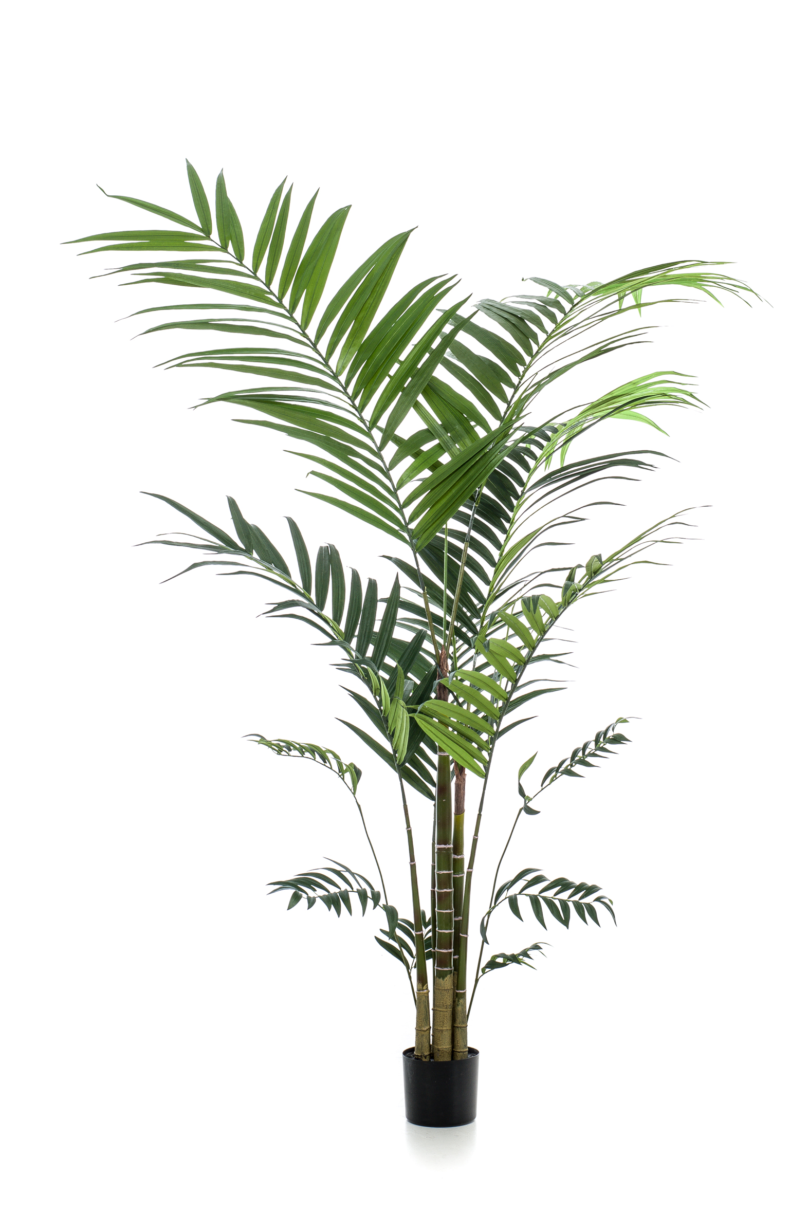 Palmier Kentia artificiel